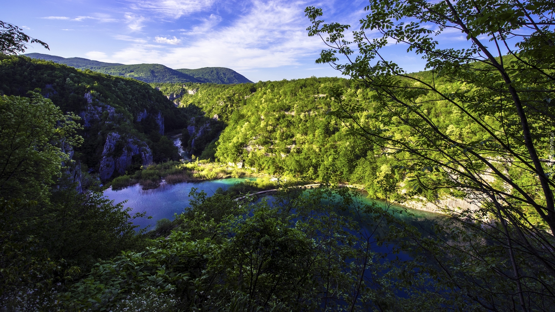 Chorwacja, Jeziora, Drzewa, Roślinność, Park Narodowy Jezior Plitwickich