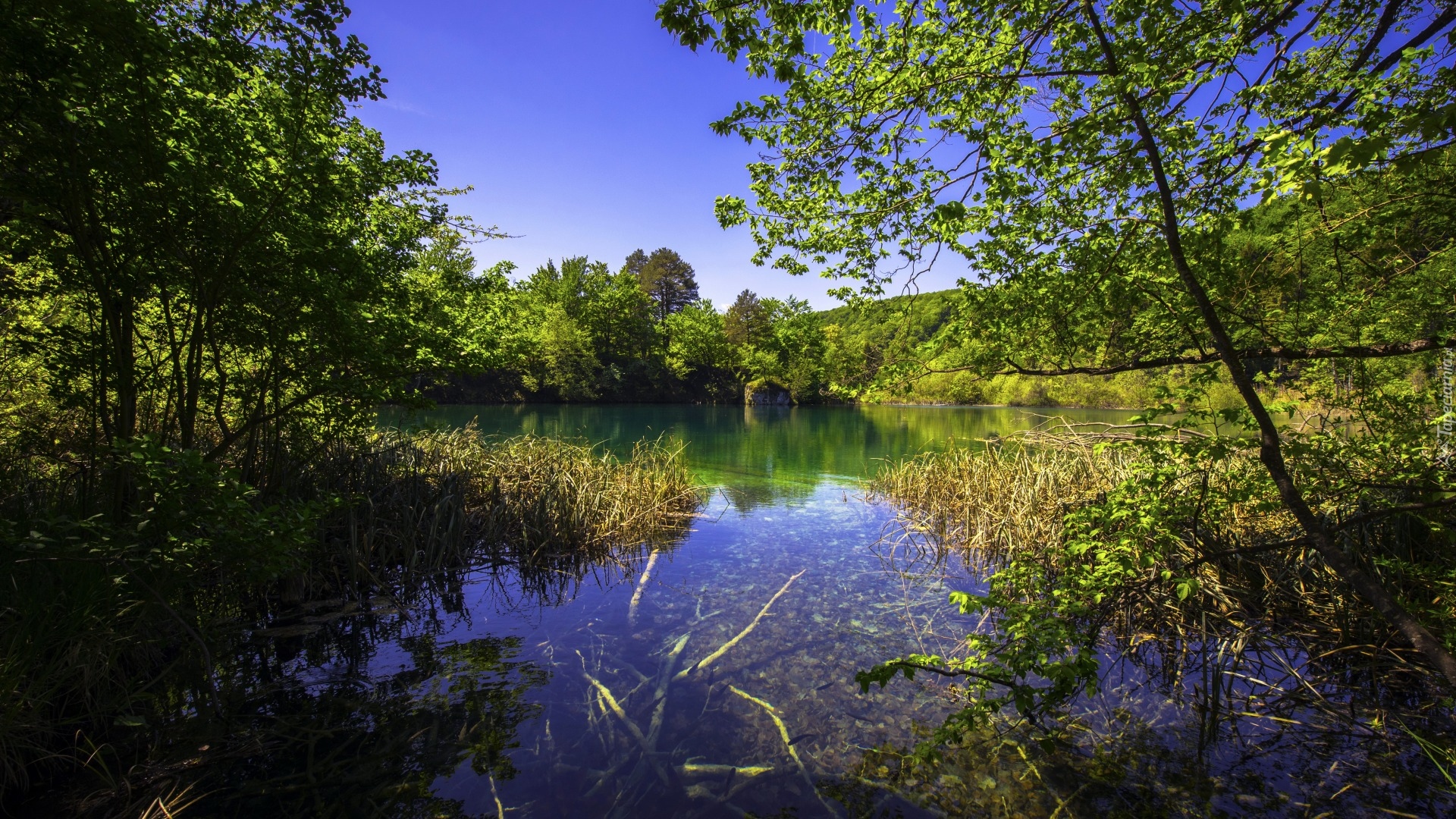 Chorwacja, Park Narodowy Jezior Plitwickich, Jezioro, Zieleń,  Trawa, Drzewa, Krzewy, Niebo