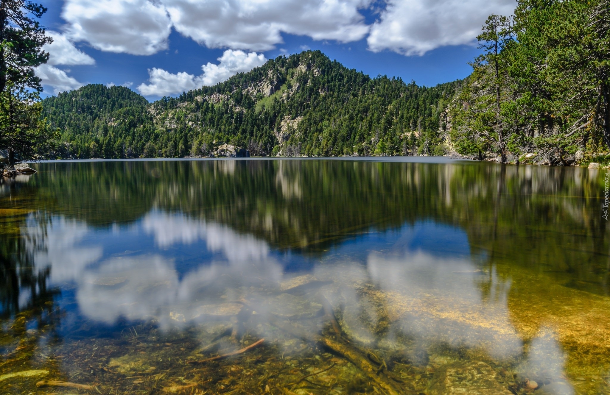 Francja, Góry Pireneje, Masyw Massif del Carlit, Jezioro, Świerki, Odbicie