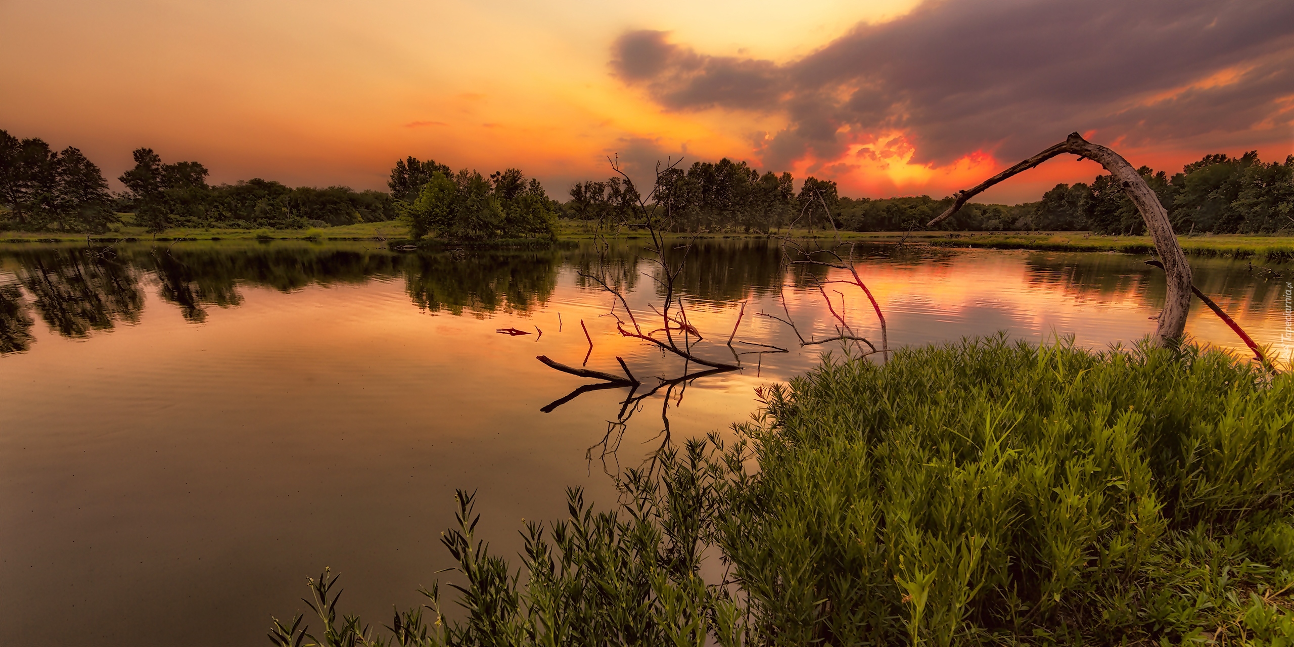 Stany Zjednoczone, Stan Missouri, Rezerwat James A. Reed Memorial Wildlife Area, Jezioro, Zachód słońca, Drzewa