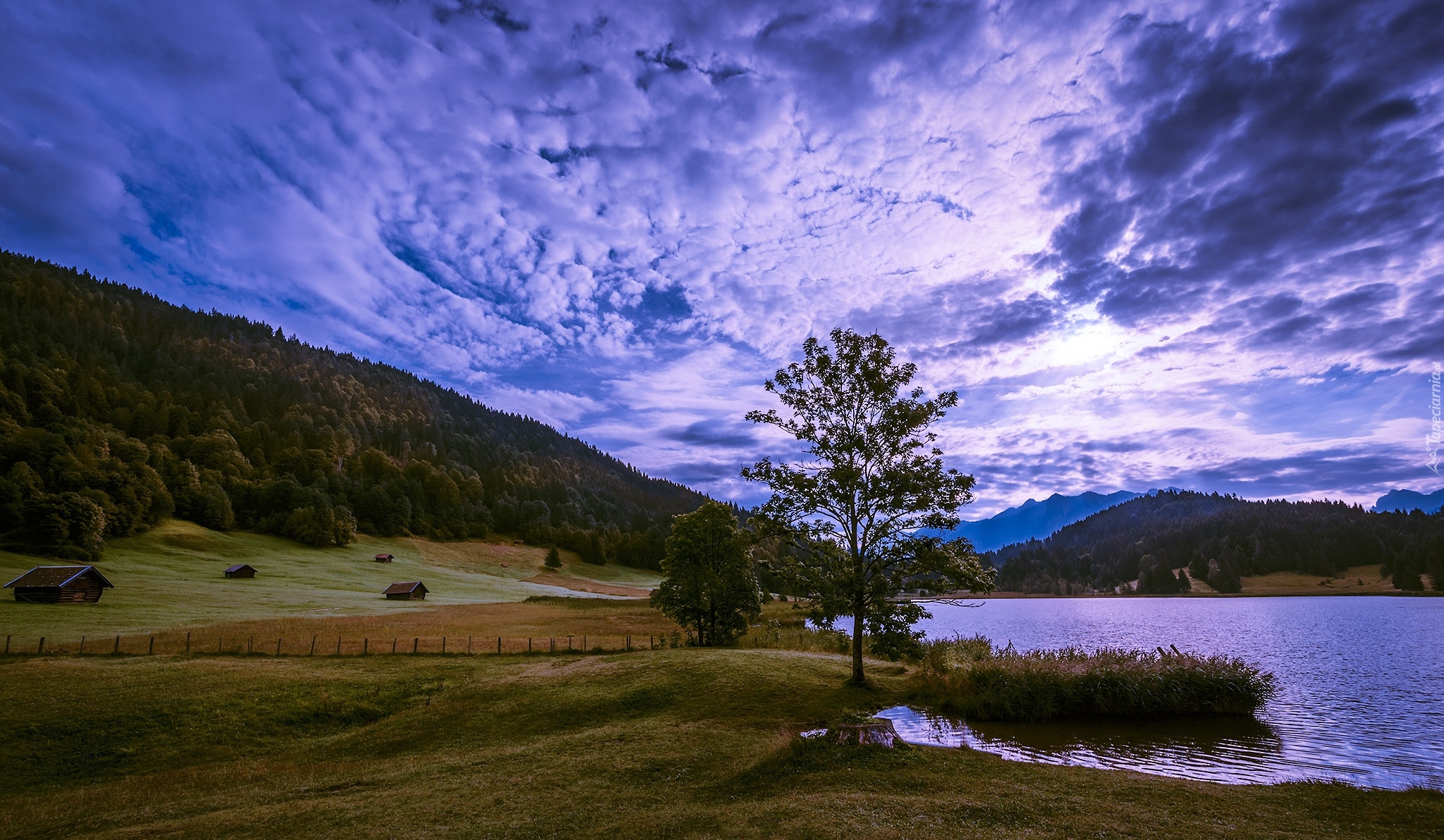 Jezioro Geroldsee, Wagenbruchsee, Góry Alpy, Wzgórze, Drewniane, Domki, Drzewo, Chmury, Niebo, Bawaria, Niemcy