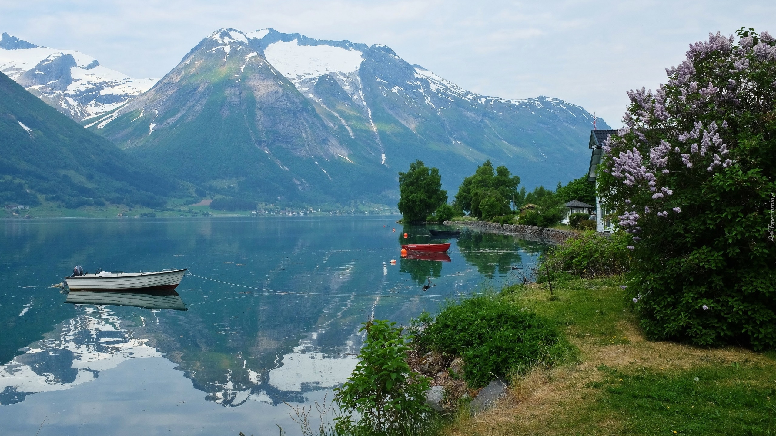 Norwegia, Hjelle, Góry, Jezioro Oppstrynsvatnet, Łodzie, Drzewa