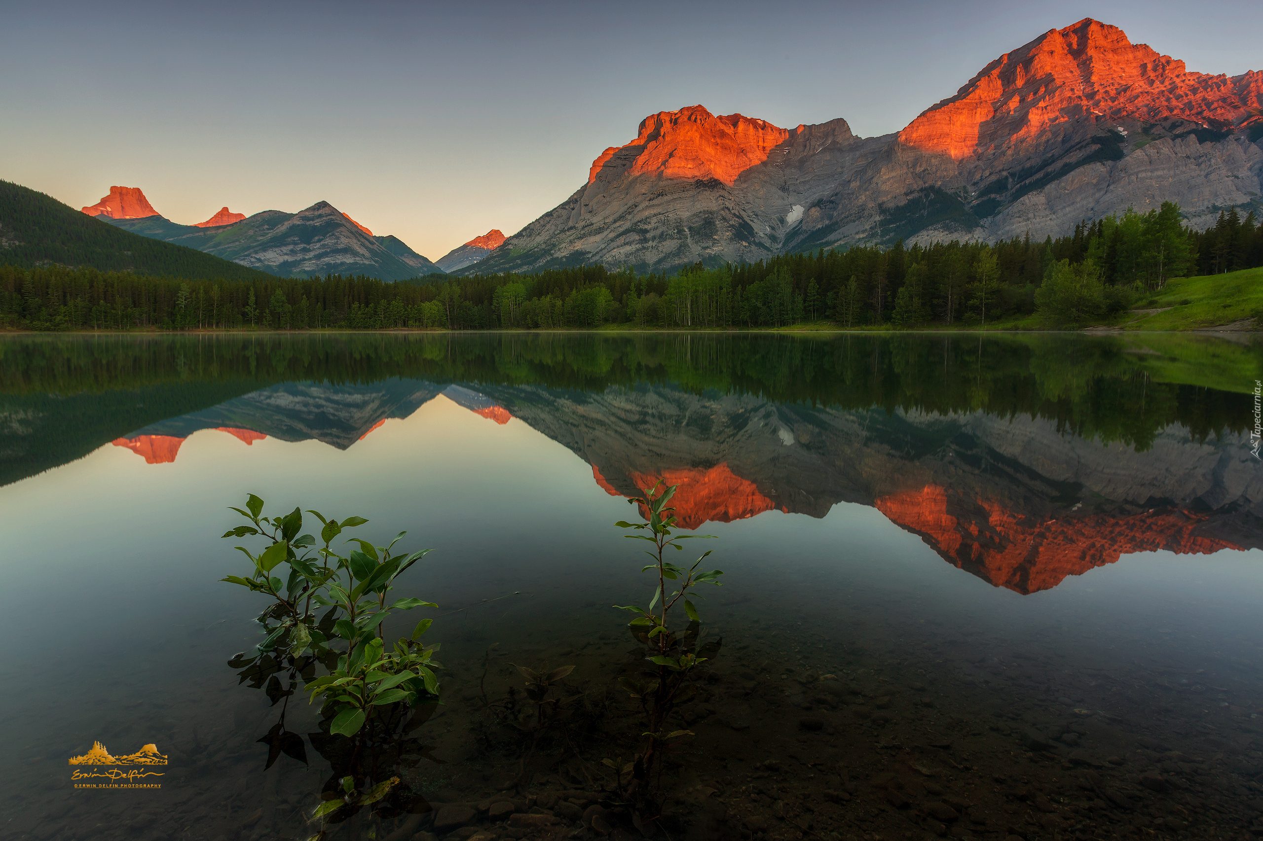 Góry Canadian Rockies, Jezioro Wedge Pond, Las, Odbicie, Park Kananaskis, Alberta, Kanada