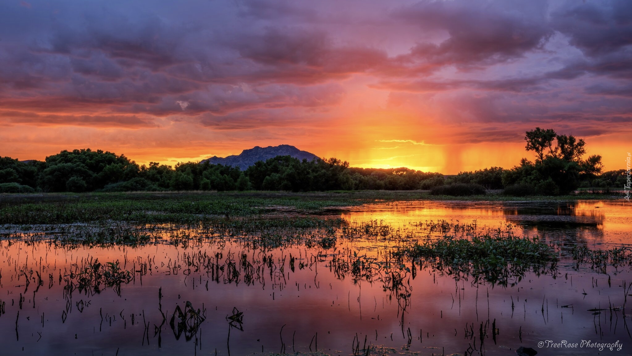 Zachód słońca, Jezioro, Willow Lake, Prescott, Szuwary, Drzewa, Góry, Stany Zjednoczone, Arizona, Hrabstwo Yavapai