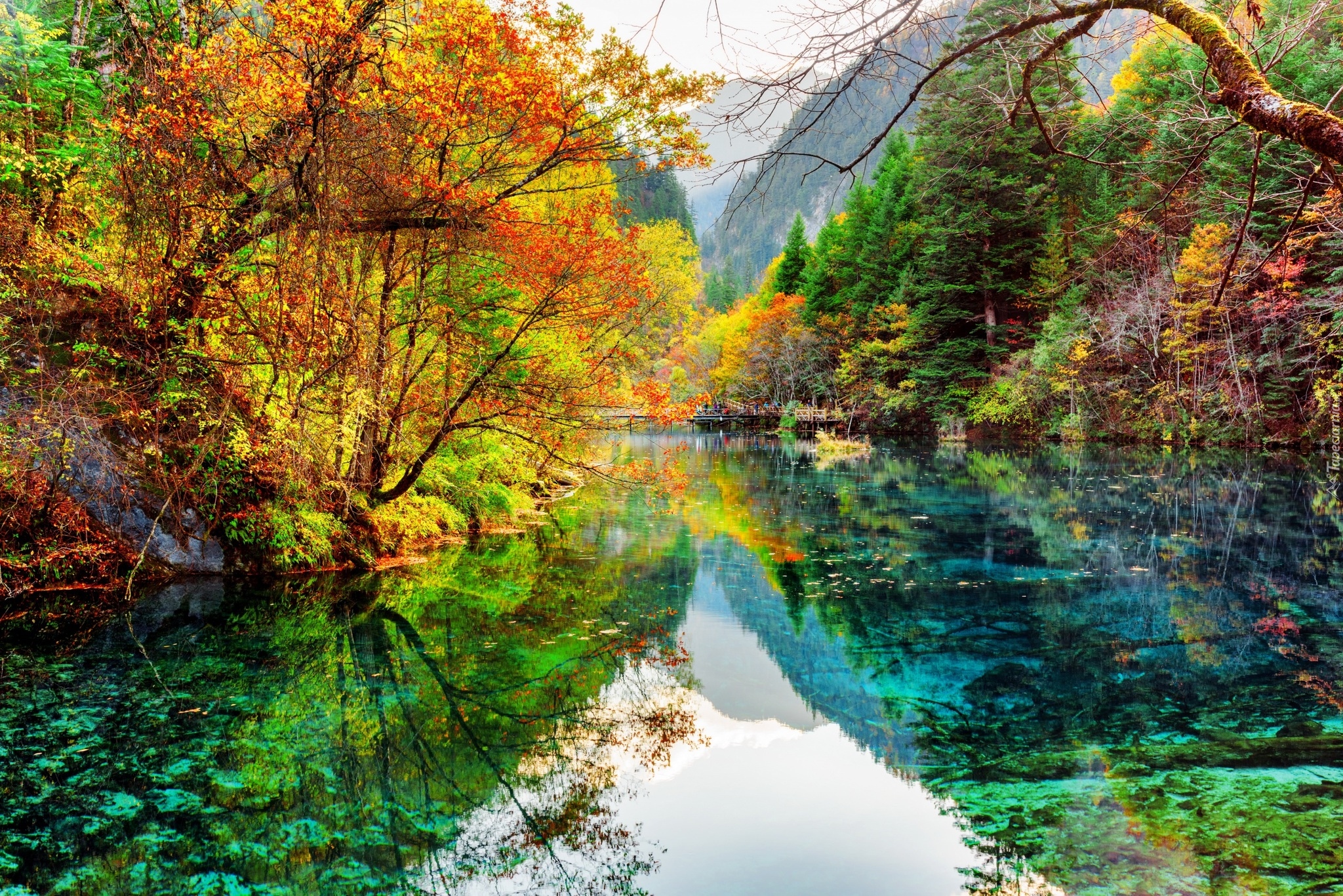 Chiny, Park Narodowy Jiuzhaigou, Jezioro Pięciu Kwiatów, Jezioro Wu Hua Hai, Drzewa, Jesień, Odbicie