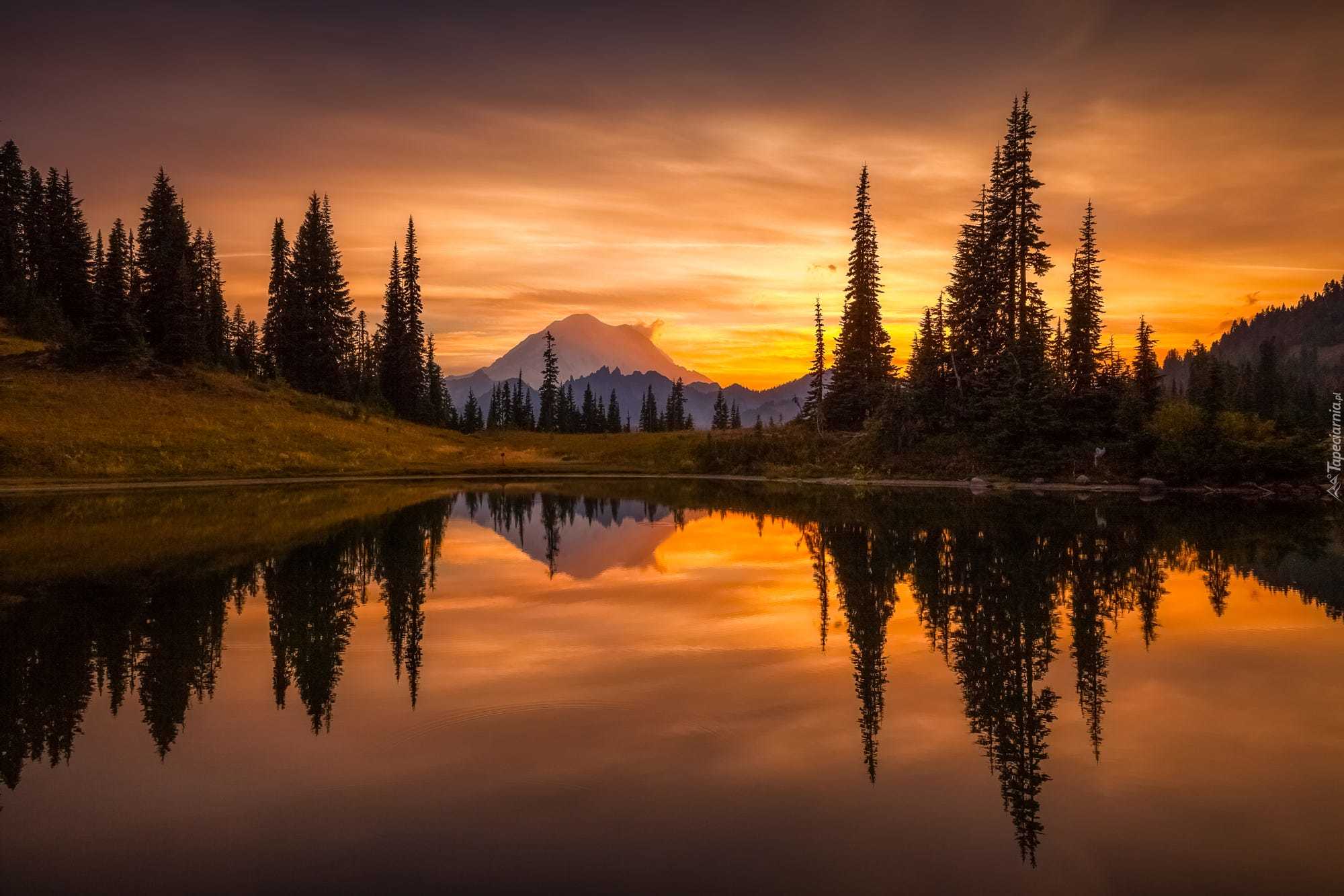 Stany Zjednoczone, Stan Waszyngton, Park Narodowy Mount Rainier Stratowulkan Mount Rainier, Jezioro, Drzewa, Odbicie, Zachód Słońca