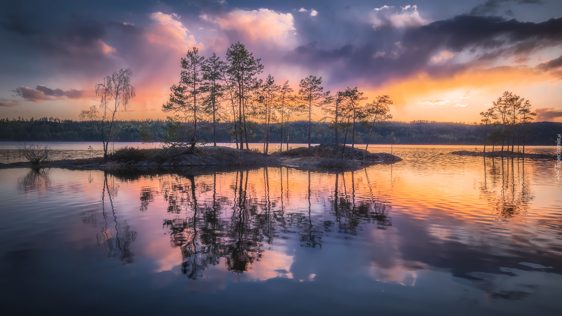 Jezioro, Wysepki, Drzewa, Zachód słońca, Ringerike, Norwegia