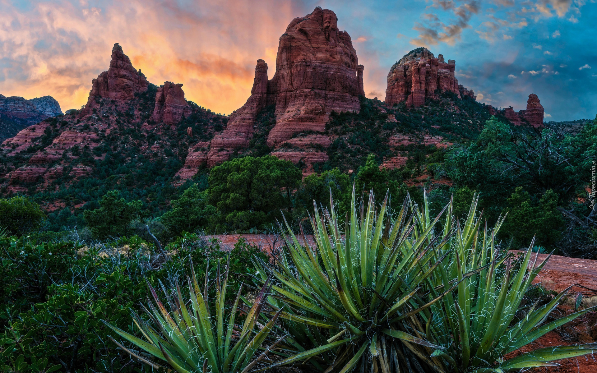 Stany Zjednoczone, Arizona, Sedona, Red Rock, Góry, Skały, Szczyty, Drzewa, Juki, Chmury