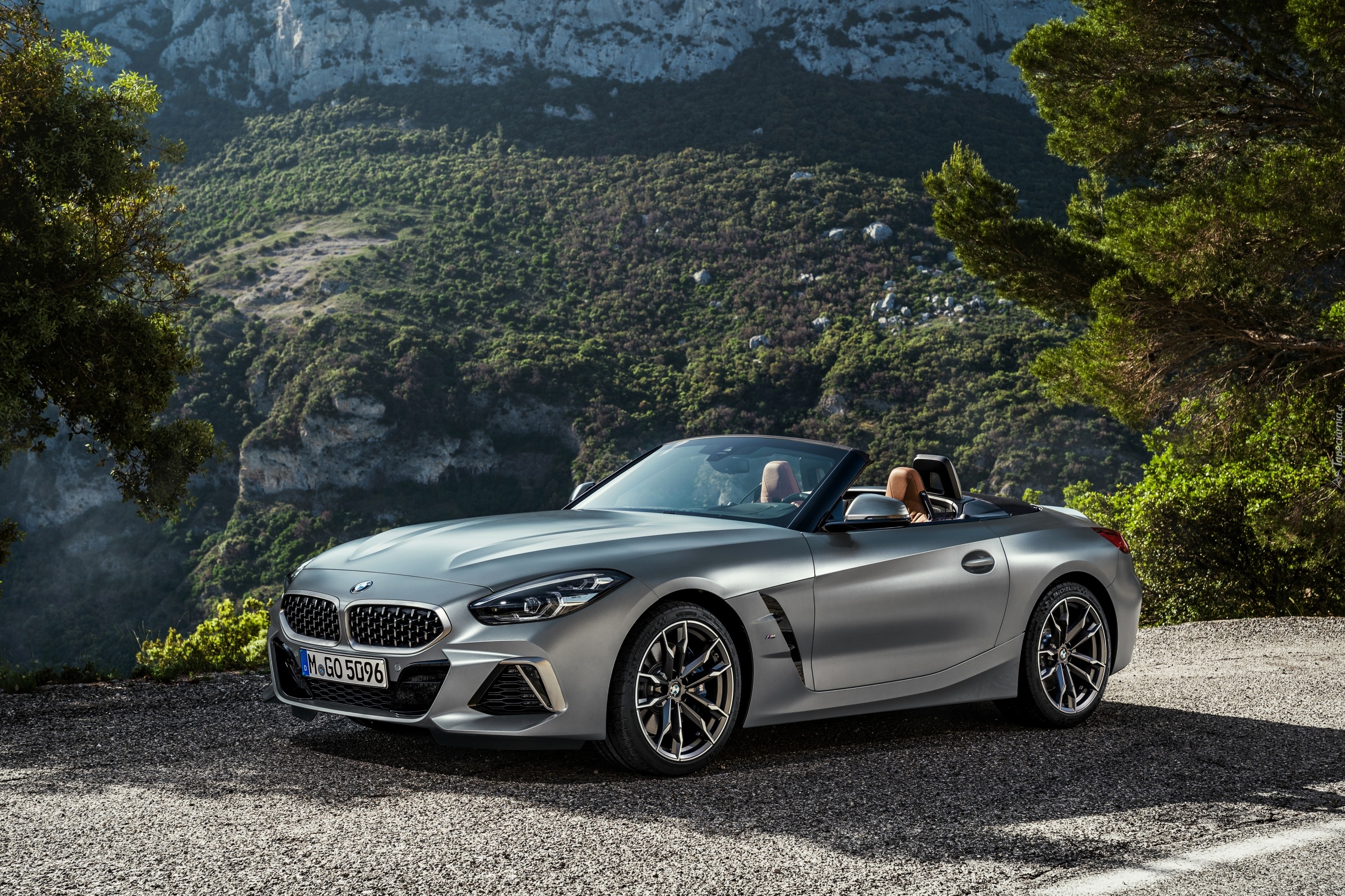 Kabriolet, BMW Z4 M40i