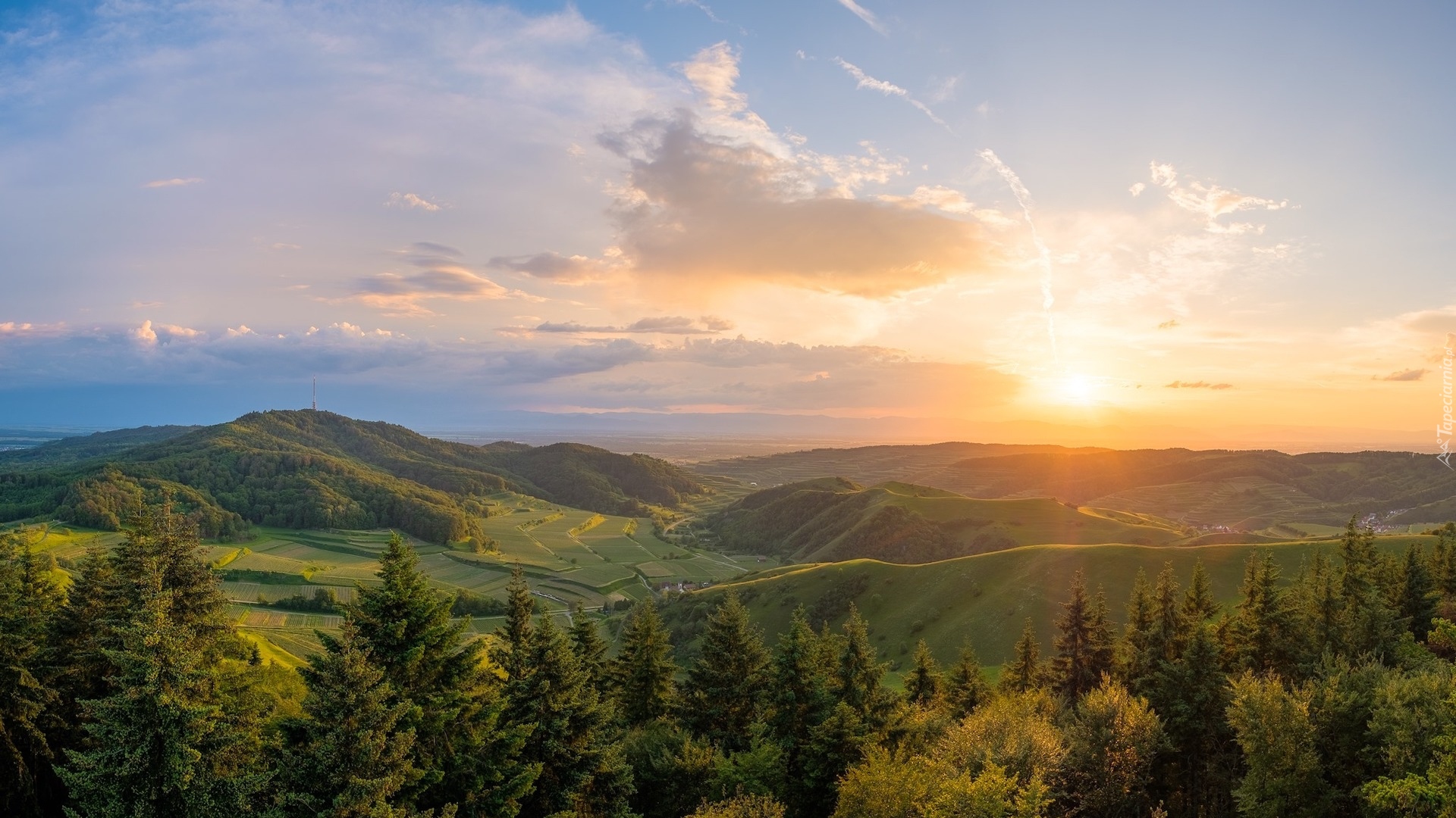 Promienie słońca, Wzgórza, Pola, Drzewa, Las, Góry, Kaiserstuhl, Niemcy