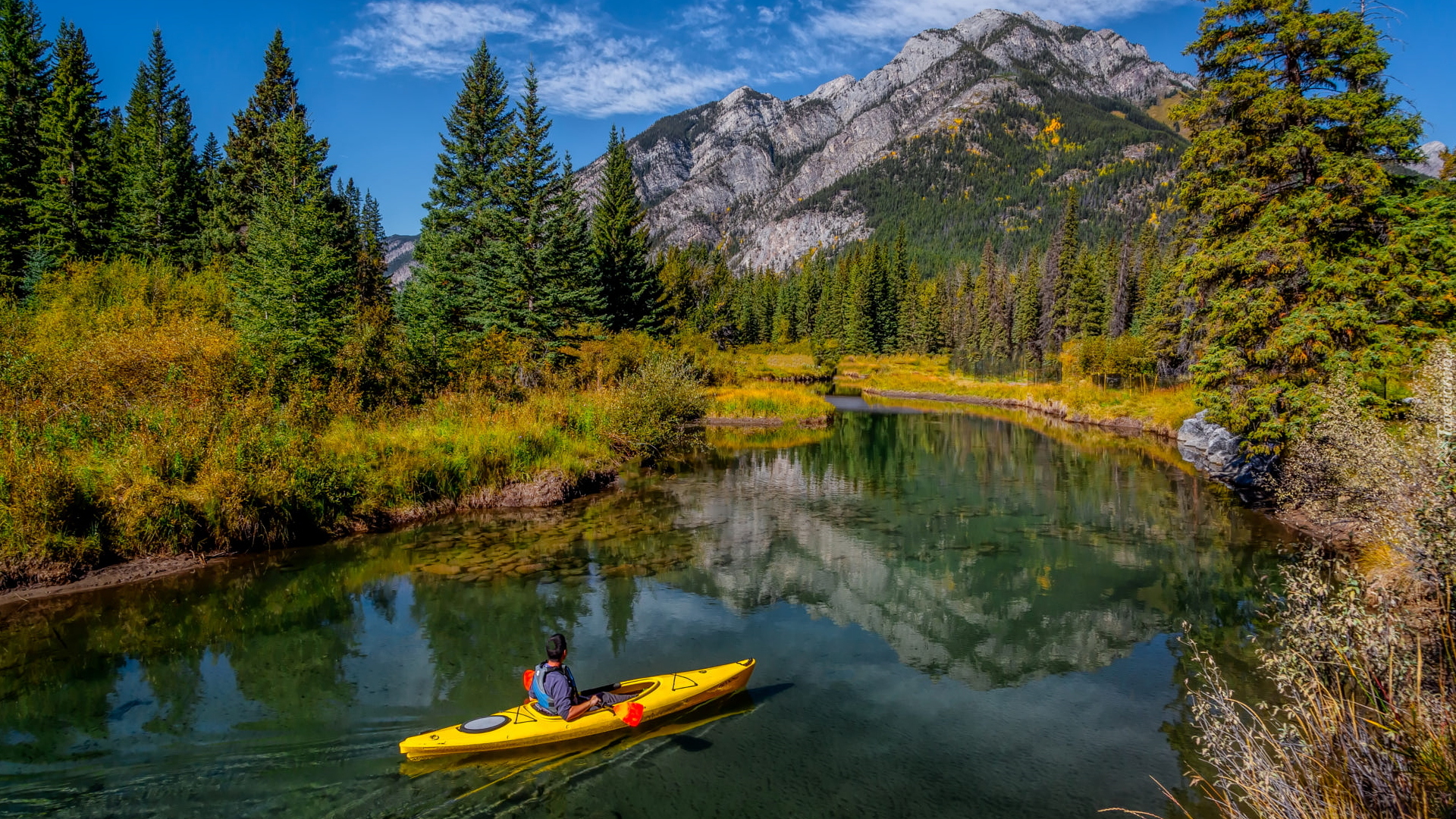 Rzeka, Bow River, Góry Skaliste, Las, Drzewa, Park Narodowy Banff, Kajak, Alberta, Kanada