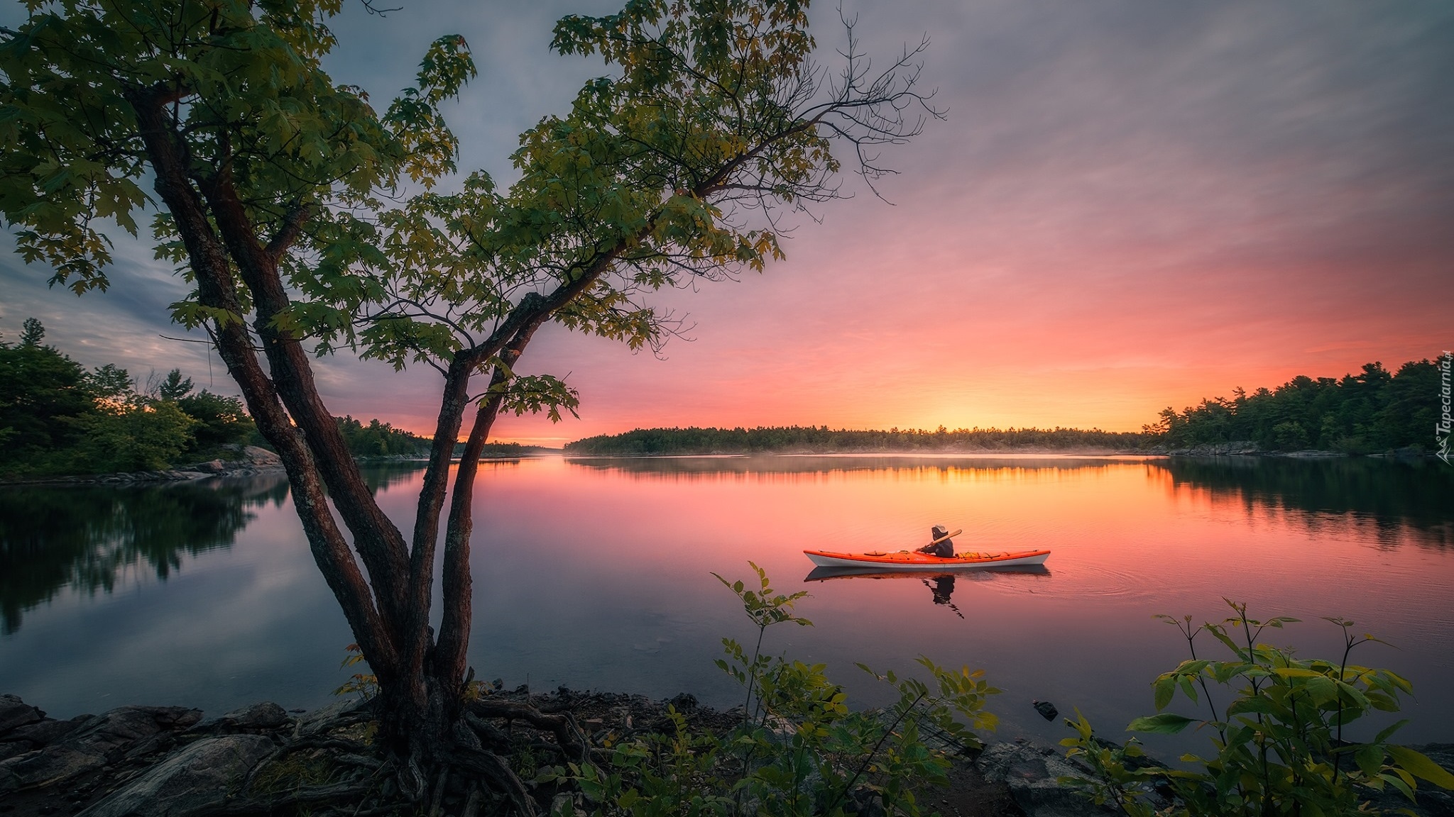 Rzeka, French River, Kajak, Drzewa, Wschód słońca, Ontario, Kanada