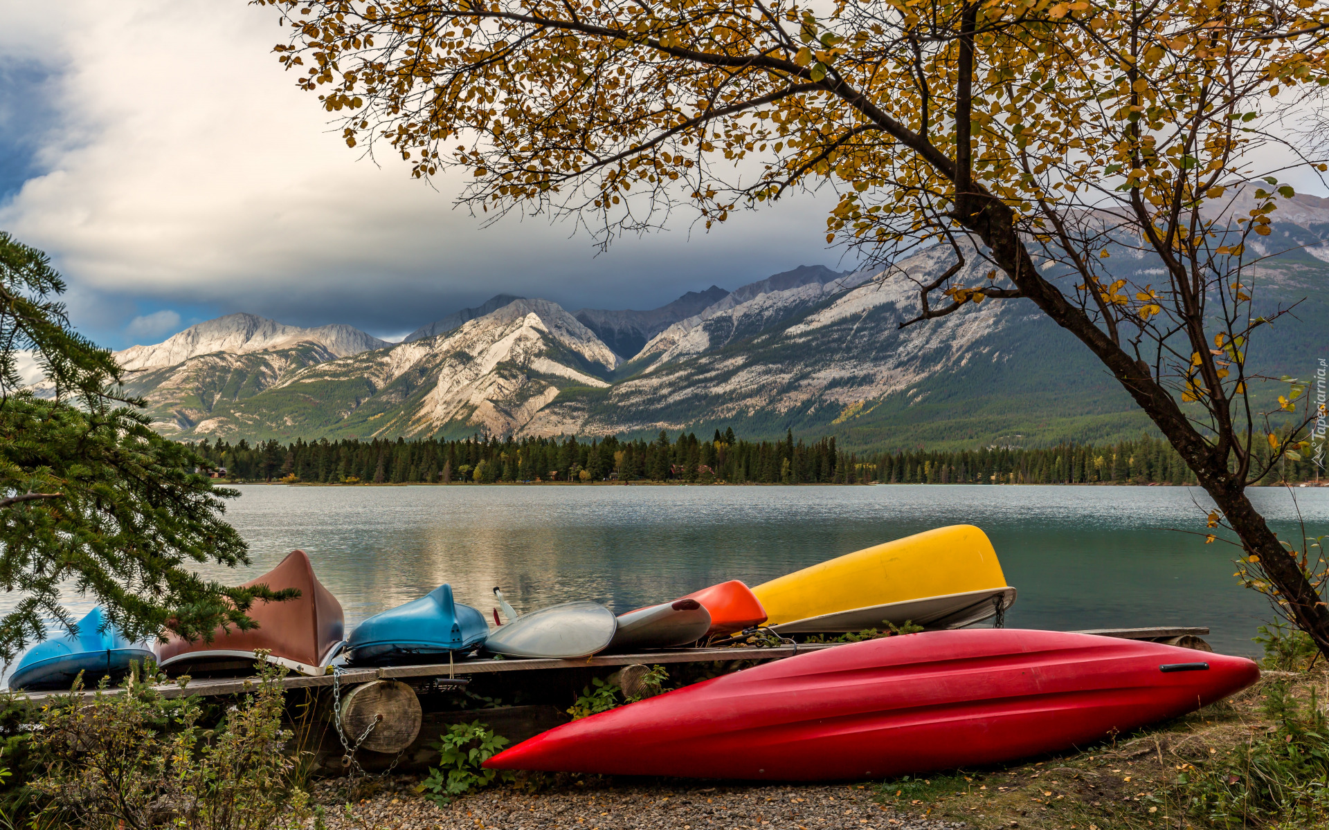 Jezioro, Edith Lake, Kolorowe, Kajaki, Drzewa, Góry, Park Narodowy Jasper, Alberta, Kanada