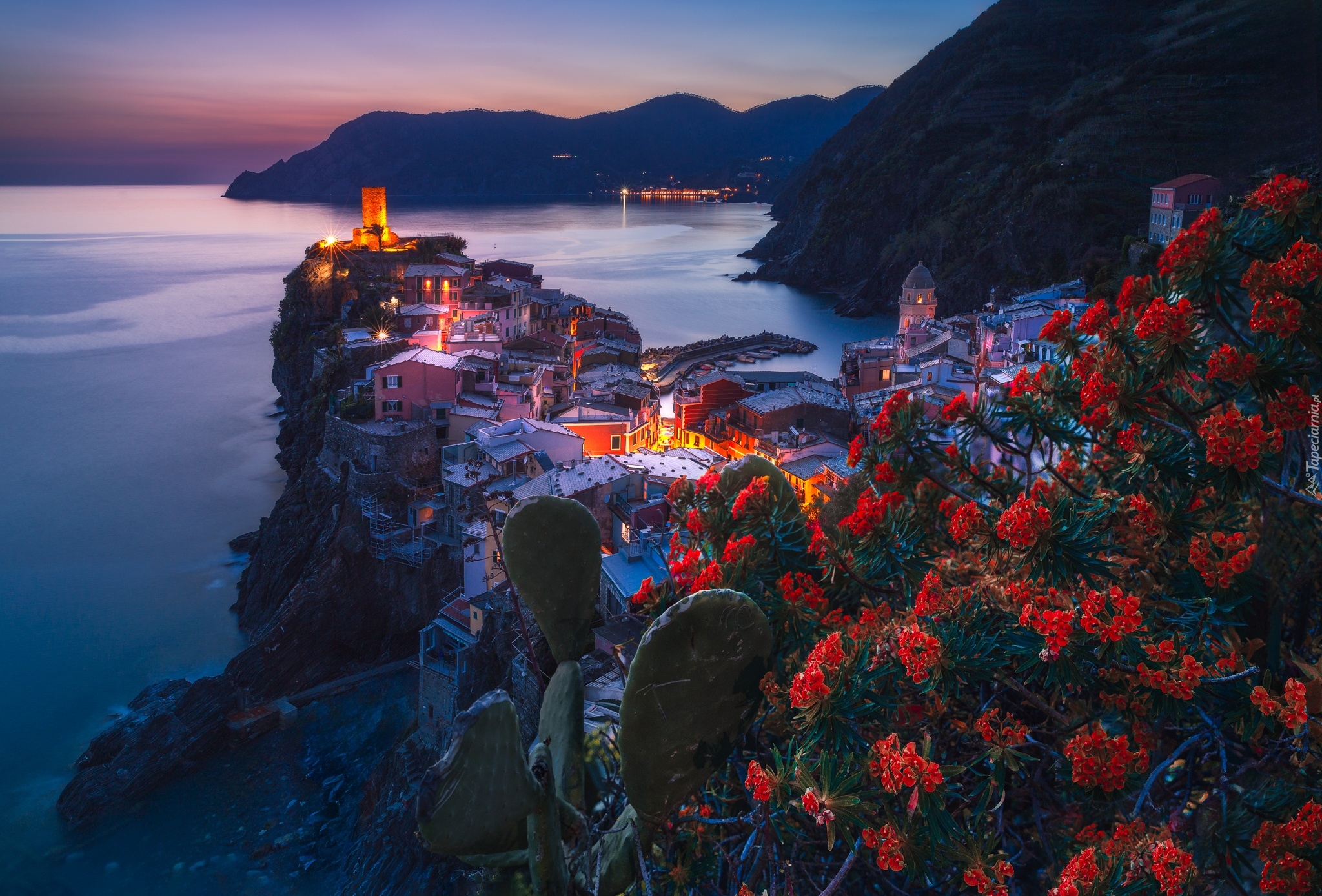 Włochy, Cinque Terre, Vernazza, Kwiaty, Morze, Góry, Domy, Zmierzch