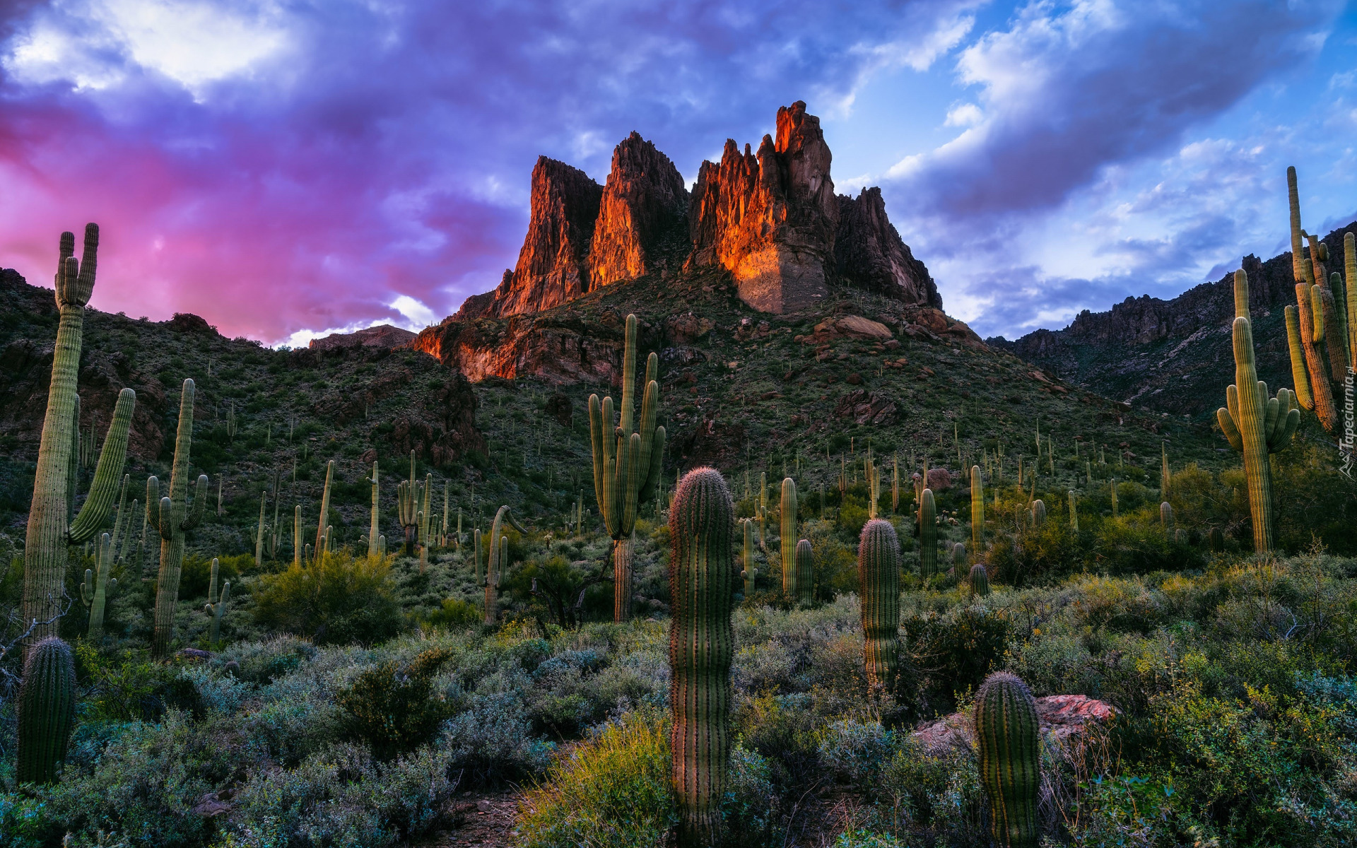 Stany Zjednoczone, Arizona, Góry, Superstition Mountains, Skały, Kaktusy, Drzewa, Roślinność, Chmury, Zachód słońca