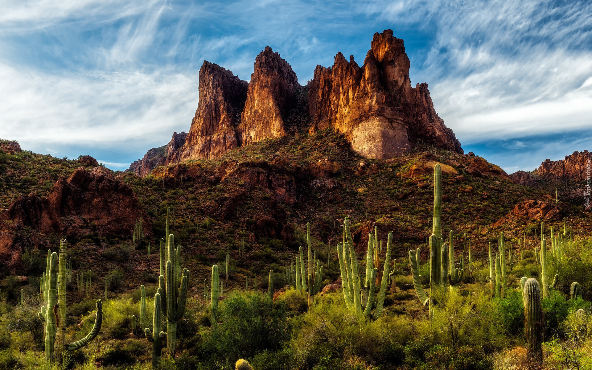 Stany Zjednoczone, Arizona, Pustynia, Sonoran Desert, Góry, Superstition Mountains, Szczyty, Tree Sisters, Skały, Kaktusy saguaro, Rośliny, Chmury