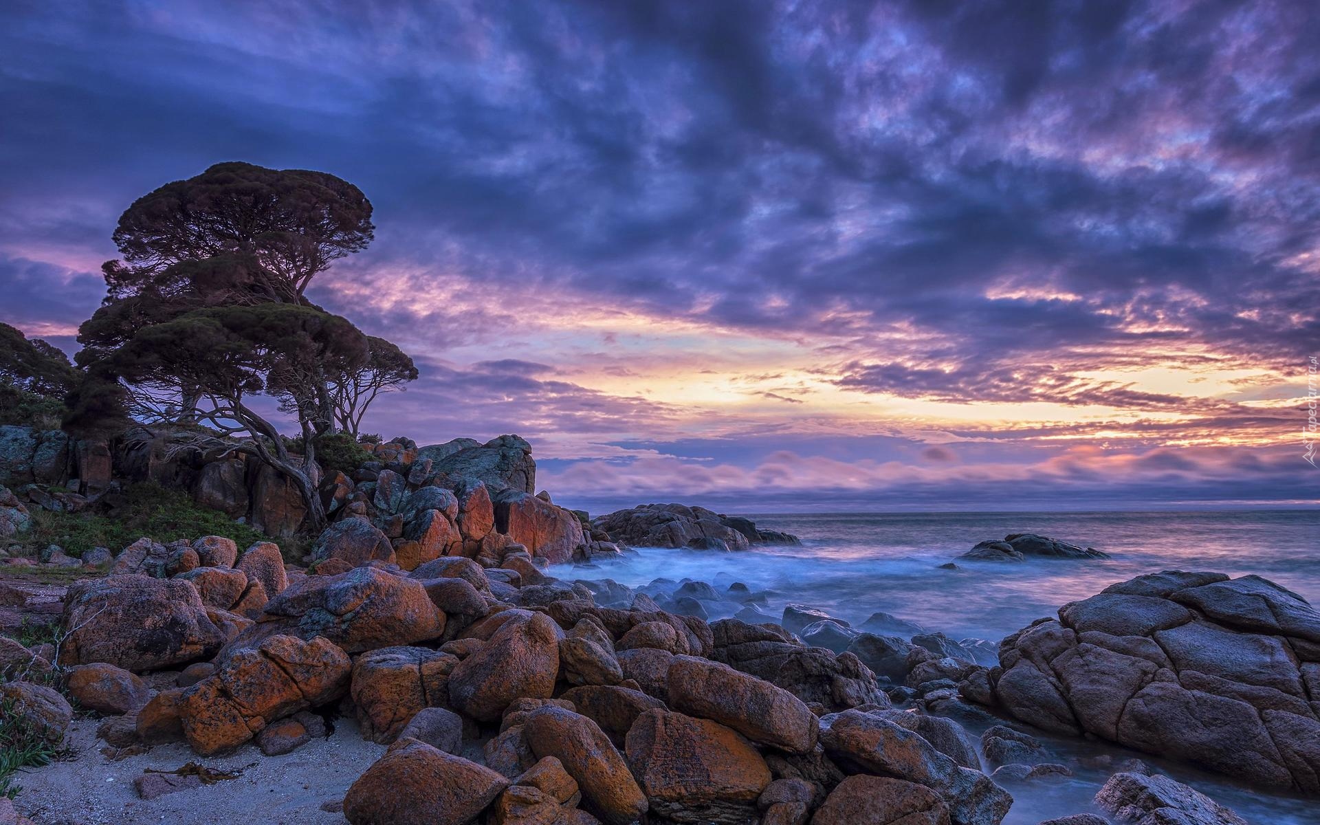 Wybrzeże, Shelley Cove, Skały, Kamienie, Morze, Drzewa, Niebo, Chmury, Australia