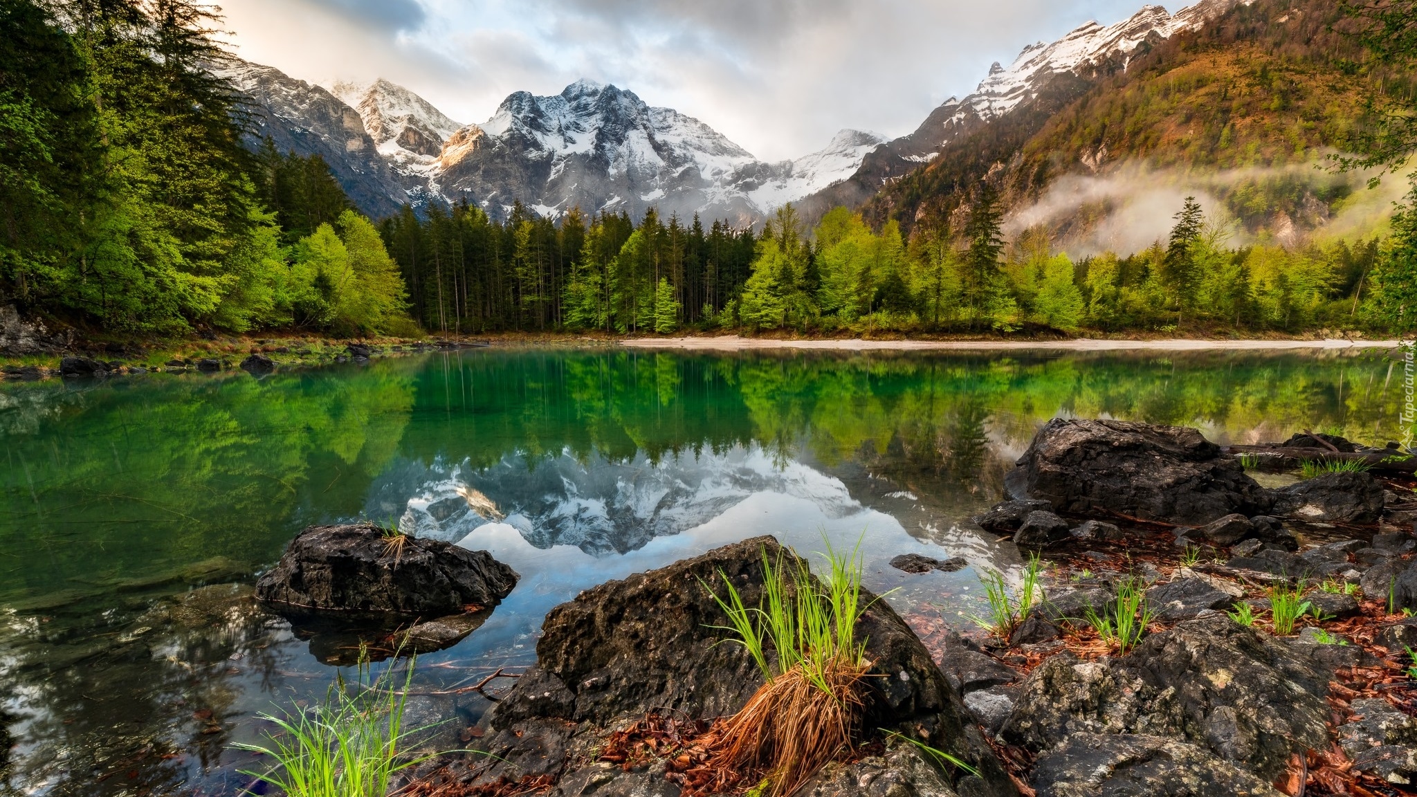 Góry, Jezioro Odseen, Drzewa, Austria