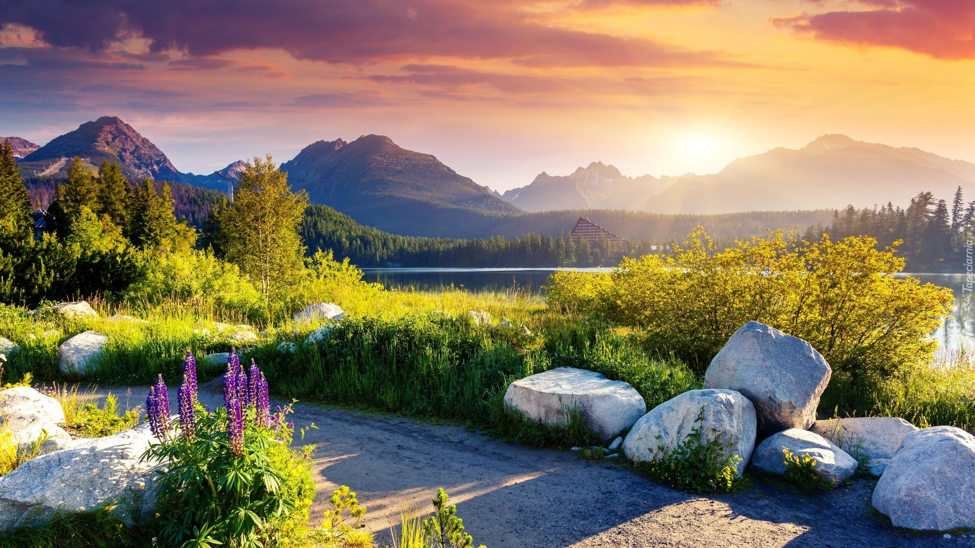 Tatrzański Park Narodowy, Tatry Wysokie, Szczyrbskie Jezioro, Góry, Drzewa, Kamienie, Kwiaty, Niebo, Zachód słońca, Słowacja