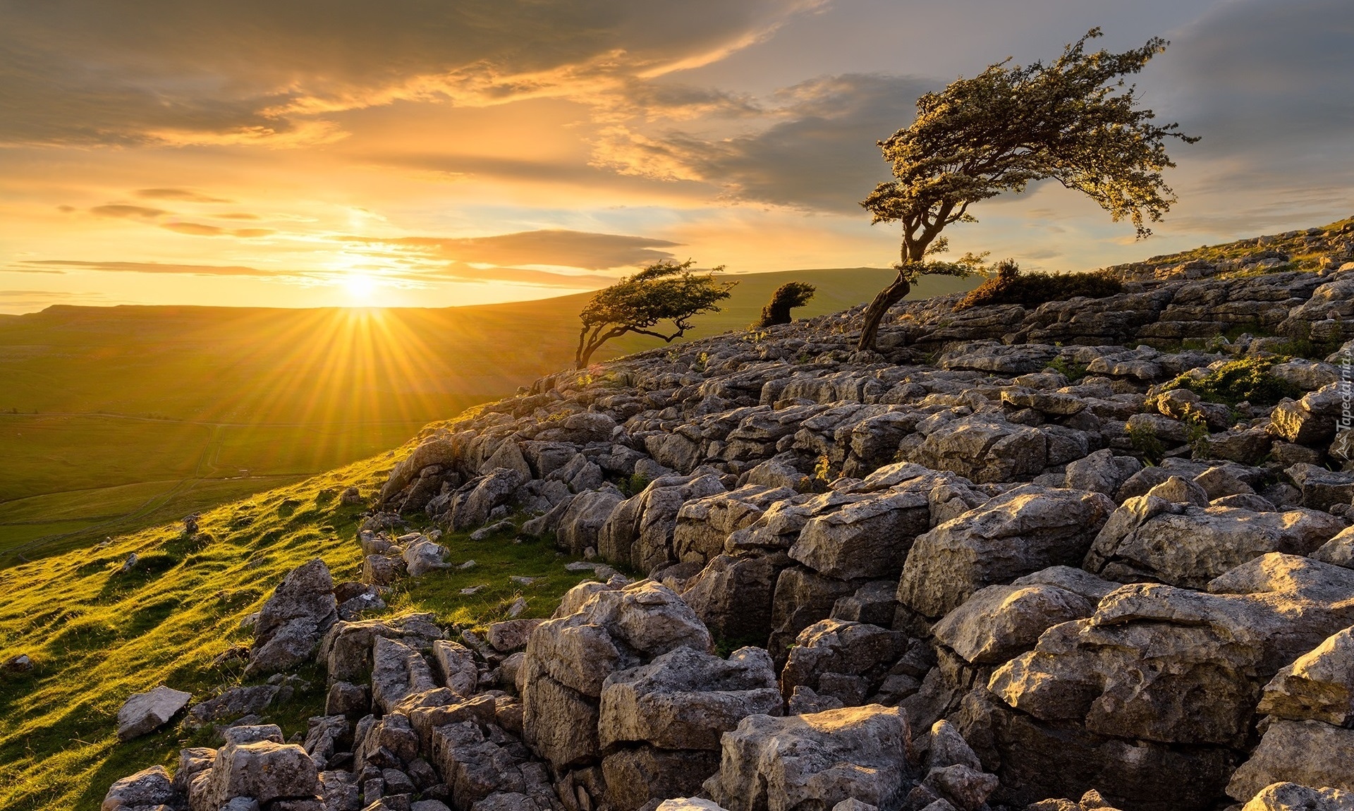 Wzgórza, Park Narodowy Yorkshire Dales, Drzewa, Kamienie, Wschód słońca, Chmury, Anglia