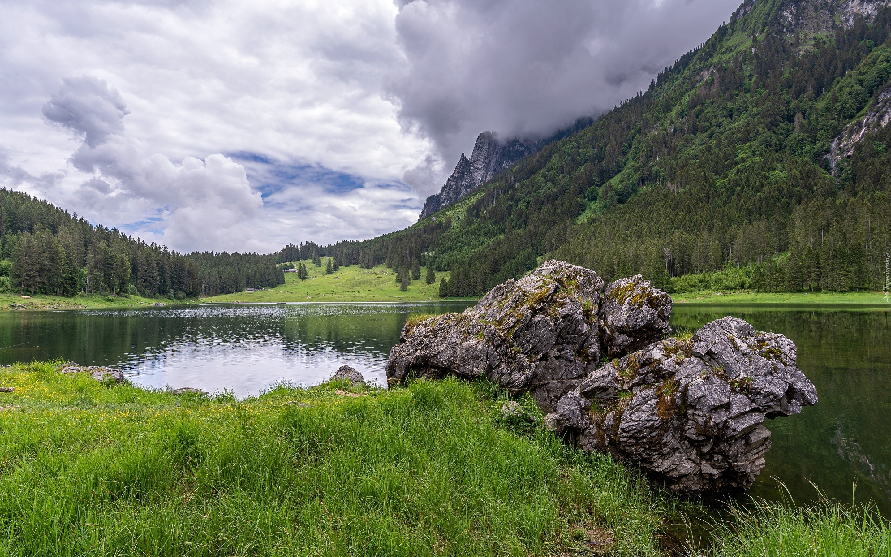 Szwajcaria, Kanton St Gallen, Jezioro Voralpsee, Kamienie, Góry, Lasy, Chmury