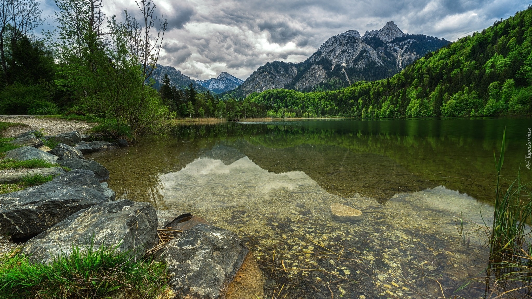 Jezioro, Kamienie, Drzewa, Góry