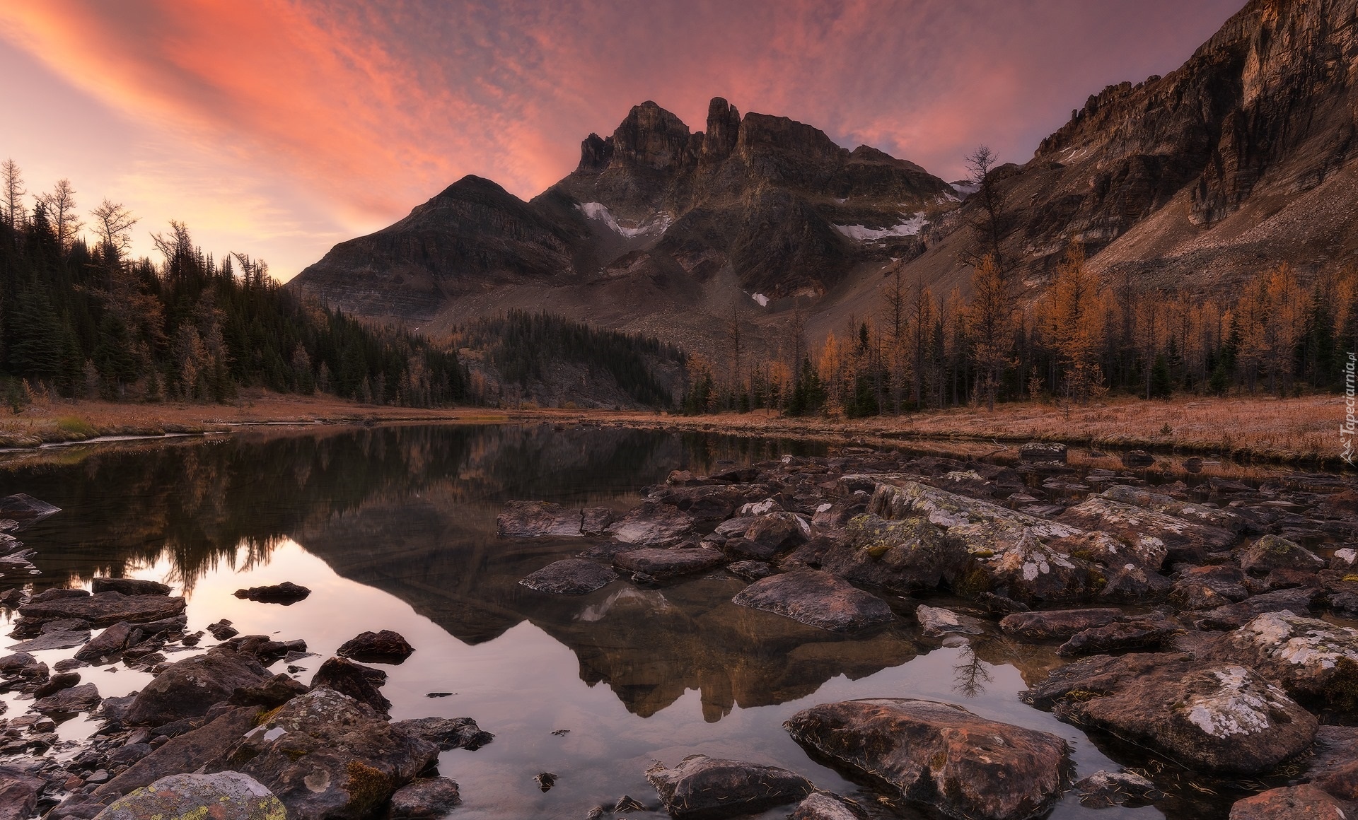 Góry, Jezioro, Gog Lake, Kamienie, Drzewa, Park prowincjonalny Mount Assiniboine, Kolumbia Brytyjska, Kanada