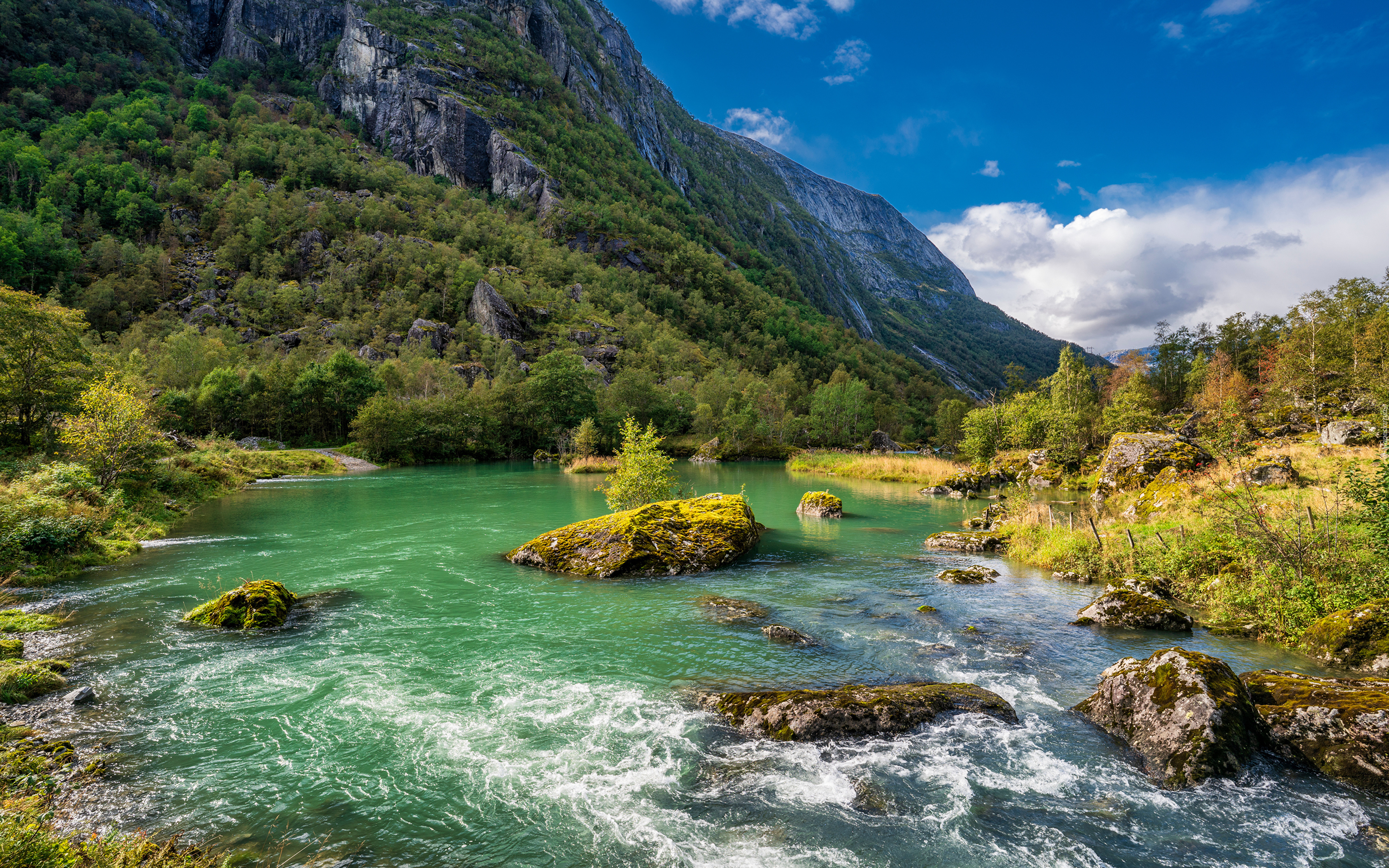 Rzeka, Kamienie, Góry, Skały, Drzewa, Park Narodowy Folgefonna, Norwegia