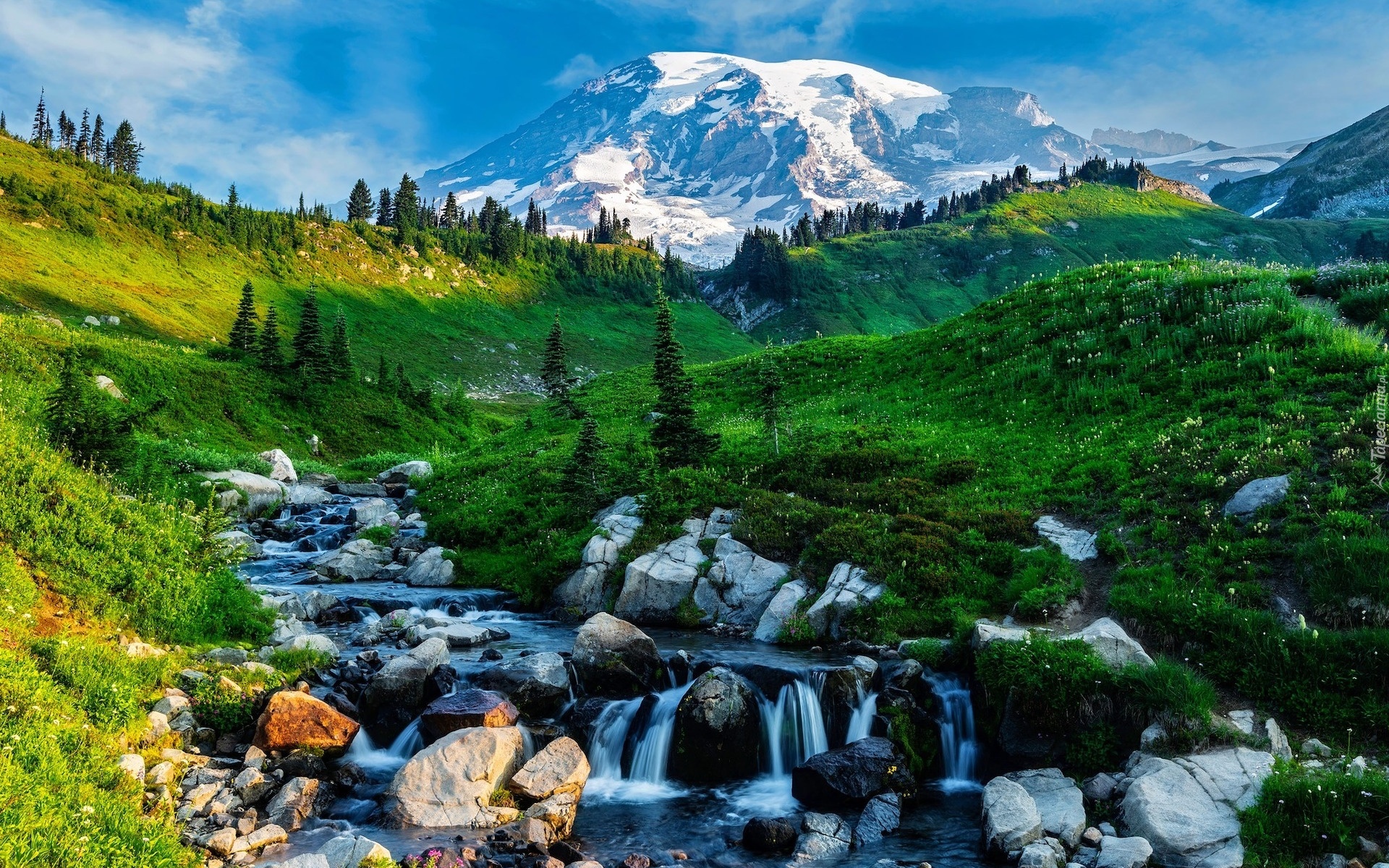 Stany Zjednoczone, Góra, Mount Rainier, Park Narodowy Mount Rainier, Dolina, Łąka, Potok, Kamienie, Drzewa