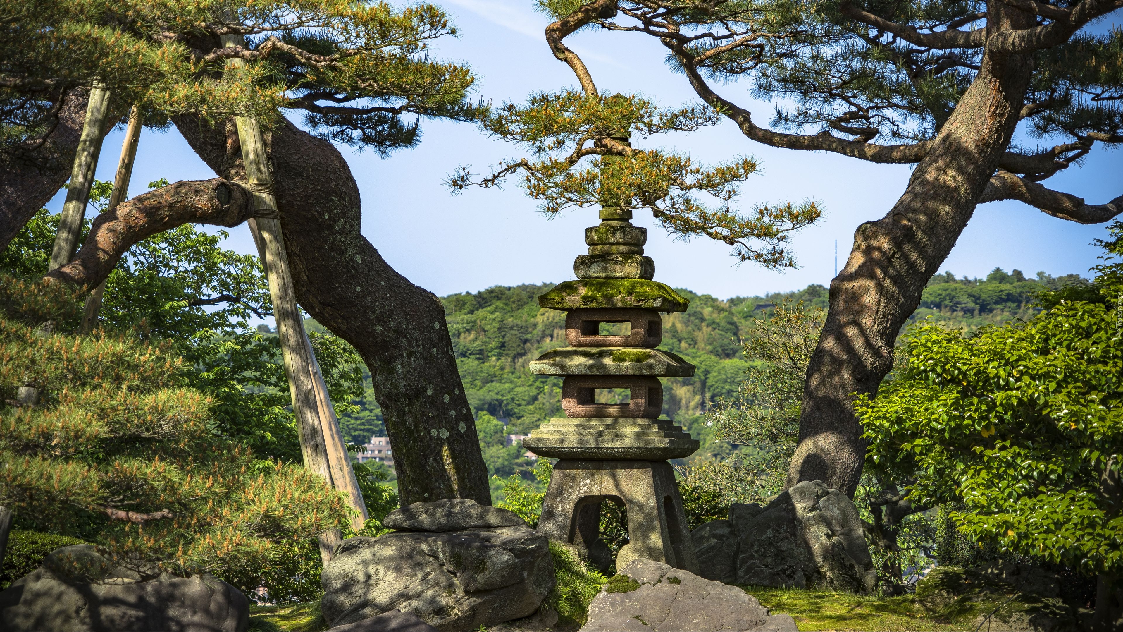 Drzewa, Sosny, Kamienna, Latarnia, Ogród Kenroku en, Kanazawa, Japonia