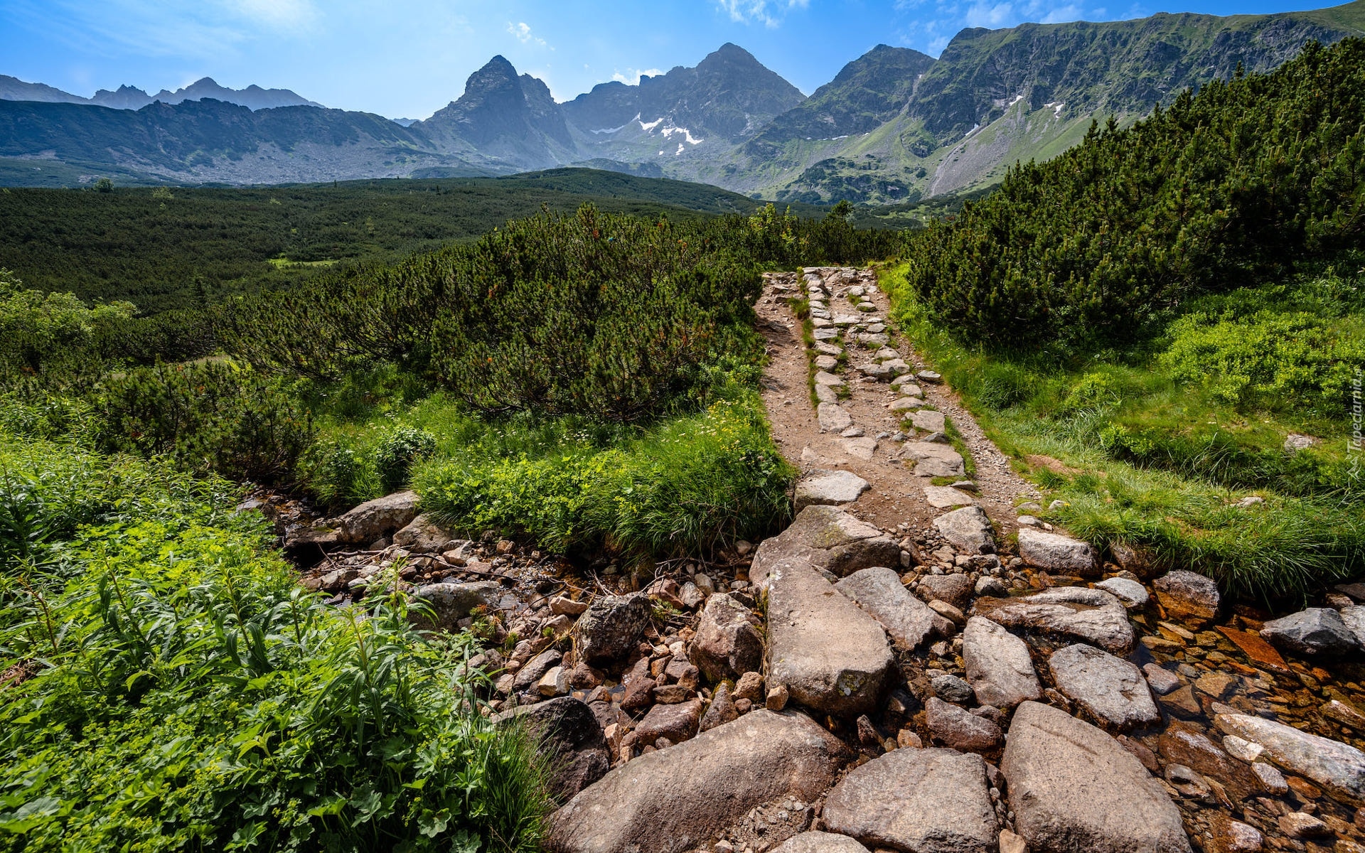 Polska, Góry, Tatry, Dolina, Hala Gąsienicowa, Ścieżka