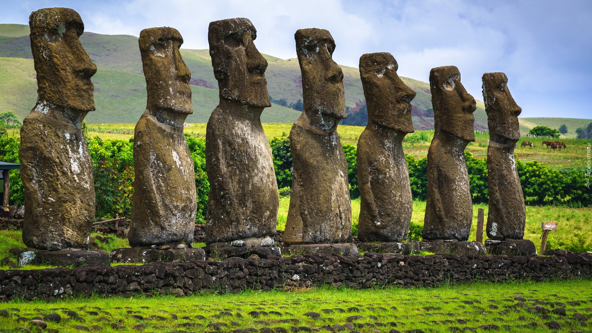 Chile, Wyspa Wielkanocna, Posągi, Moai