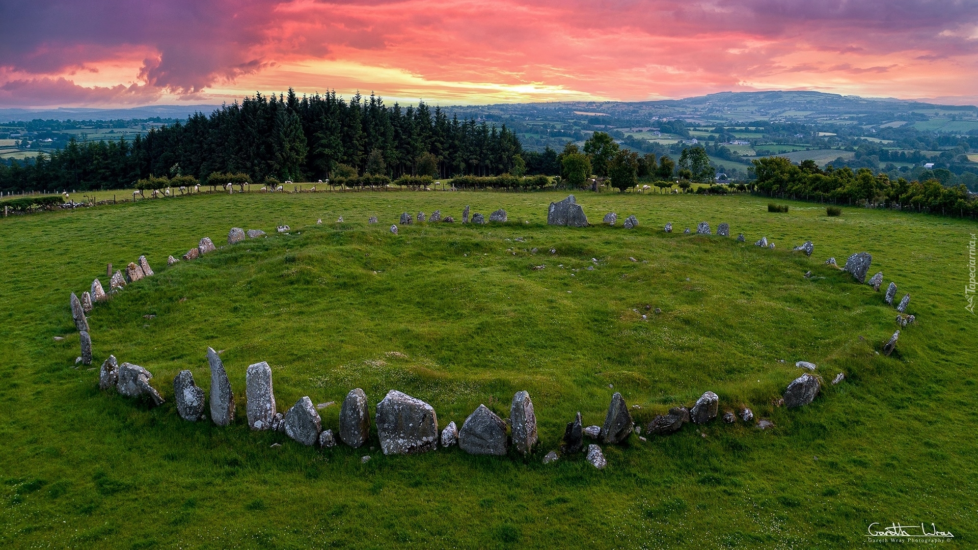 Beltany Stone Circle, Kamienny, Krąg, Kamienie, Drzewa, Zachód słońca, Chmury, Hrabstwo Donegal, Irlandia