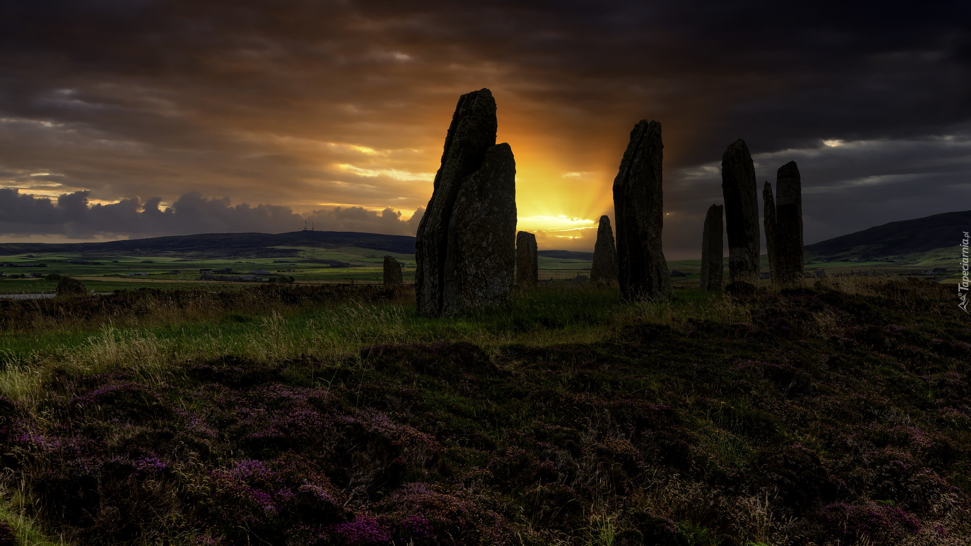 Kamienny, Krąg, Ring of Brodgar, Kamienie, Wschód słońca, Wrzosy, Orkady, Szkocja