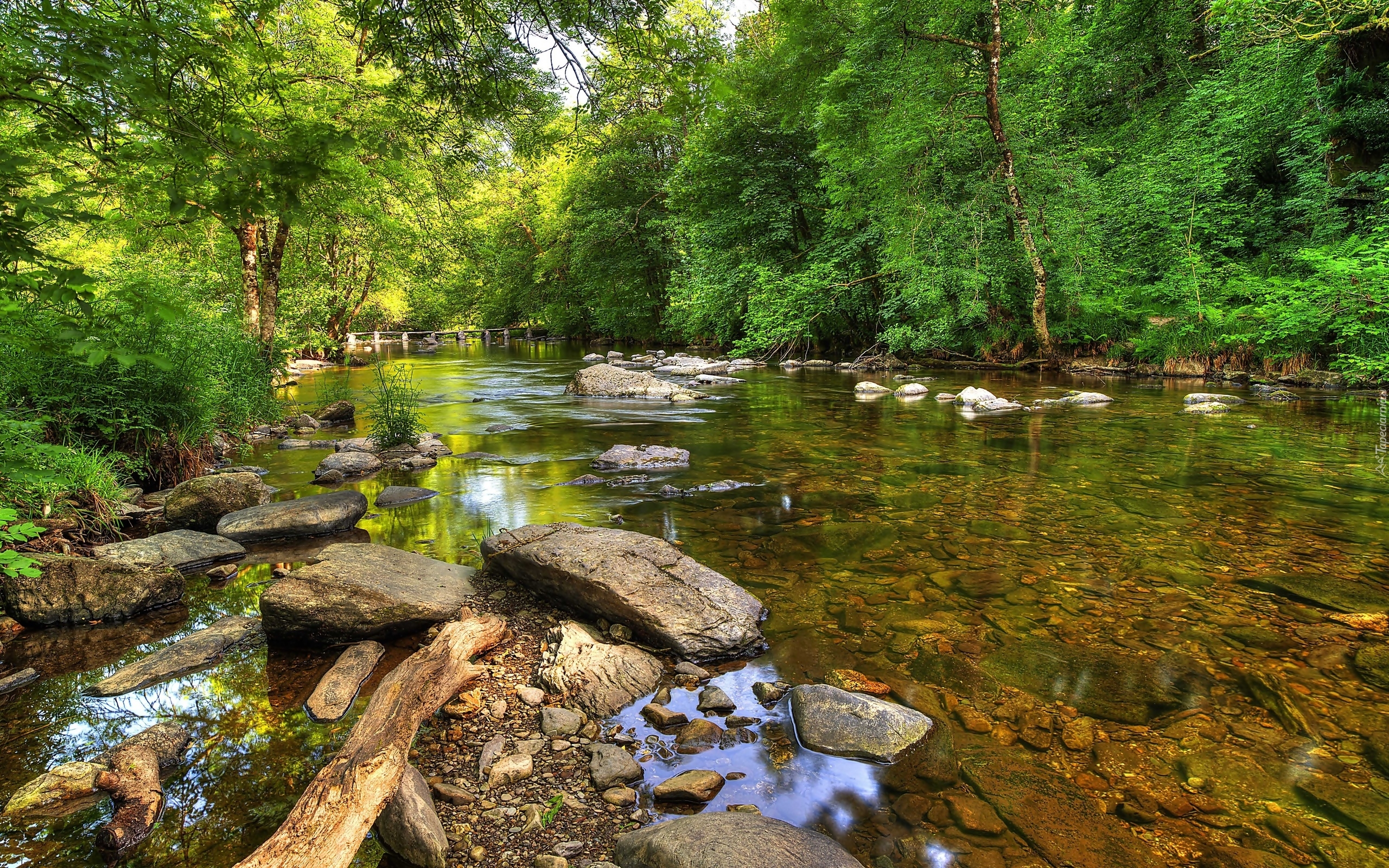 Anglia, Hrabstwo Somerset, Park Narodowy Exmoor, Rzeka Barle, Most Tarr Steps, Kamienie, Drzewa