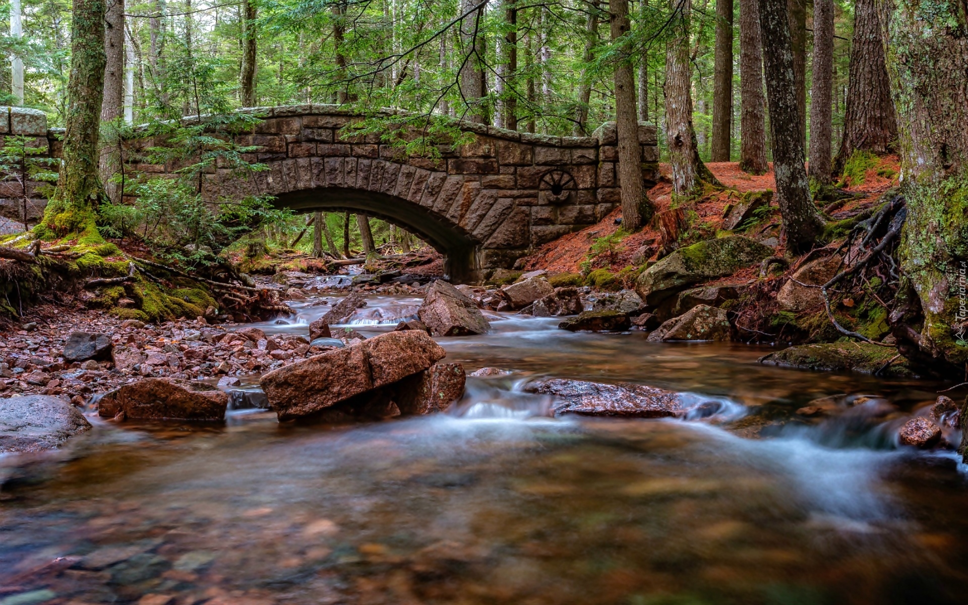 Stany Zjednoczone, Stan Maine, Park Narodowy Acadia, Las, Rzeka, Kamienny, Most Hadlock Brook Bridge