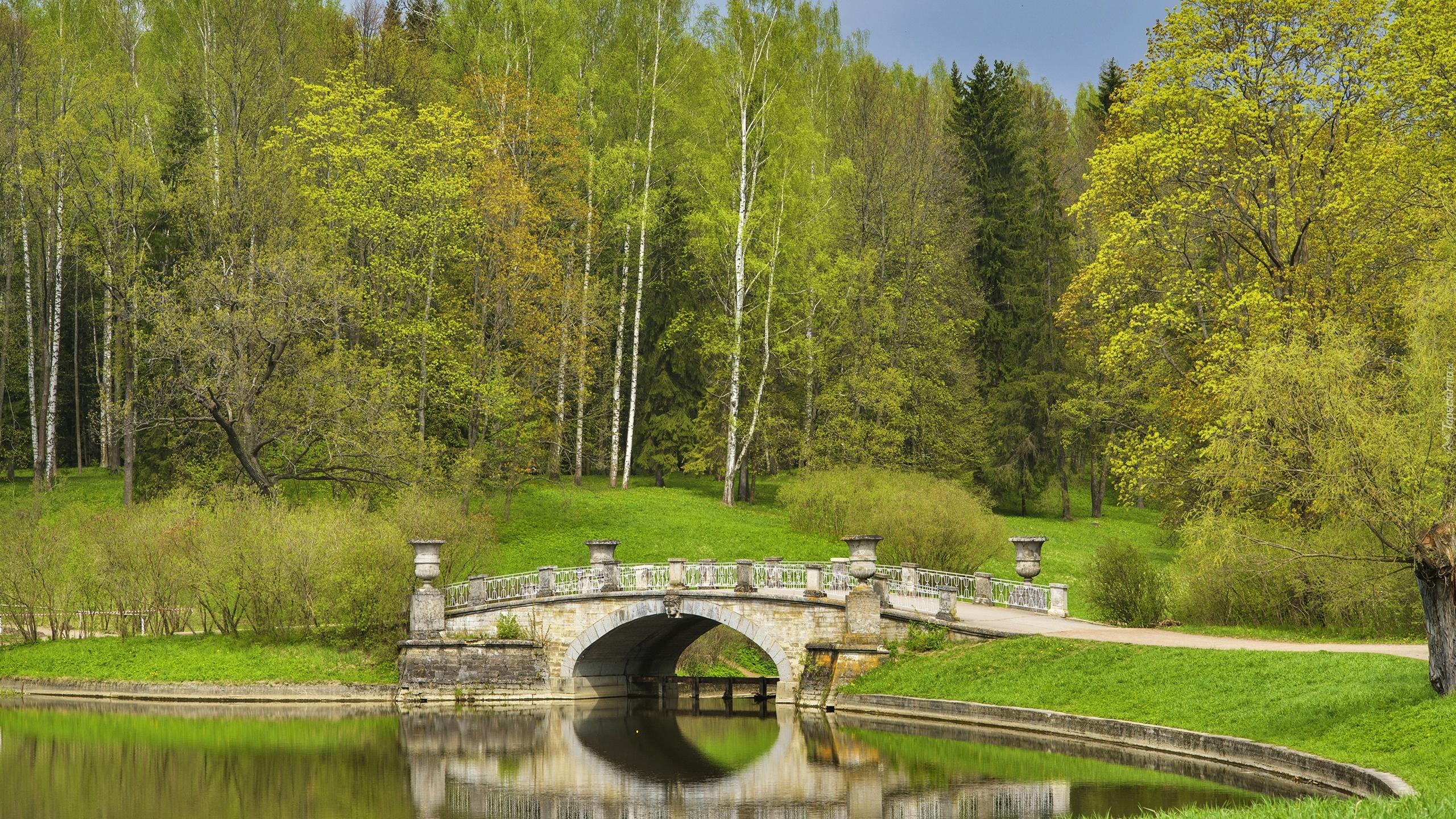 Park, Rzeka Sławianka, Kamienny, Most, Drzewa, Pawłowsk, Petersburg, Rosja