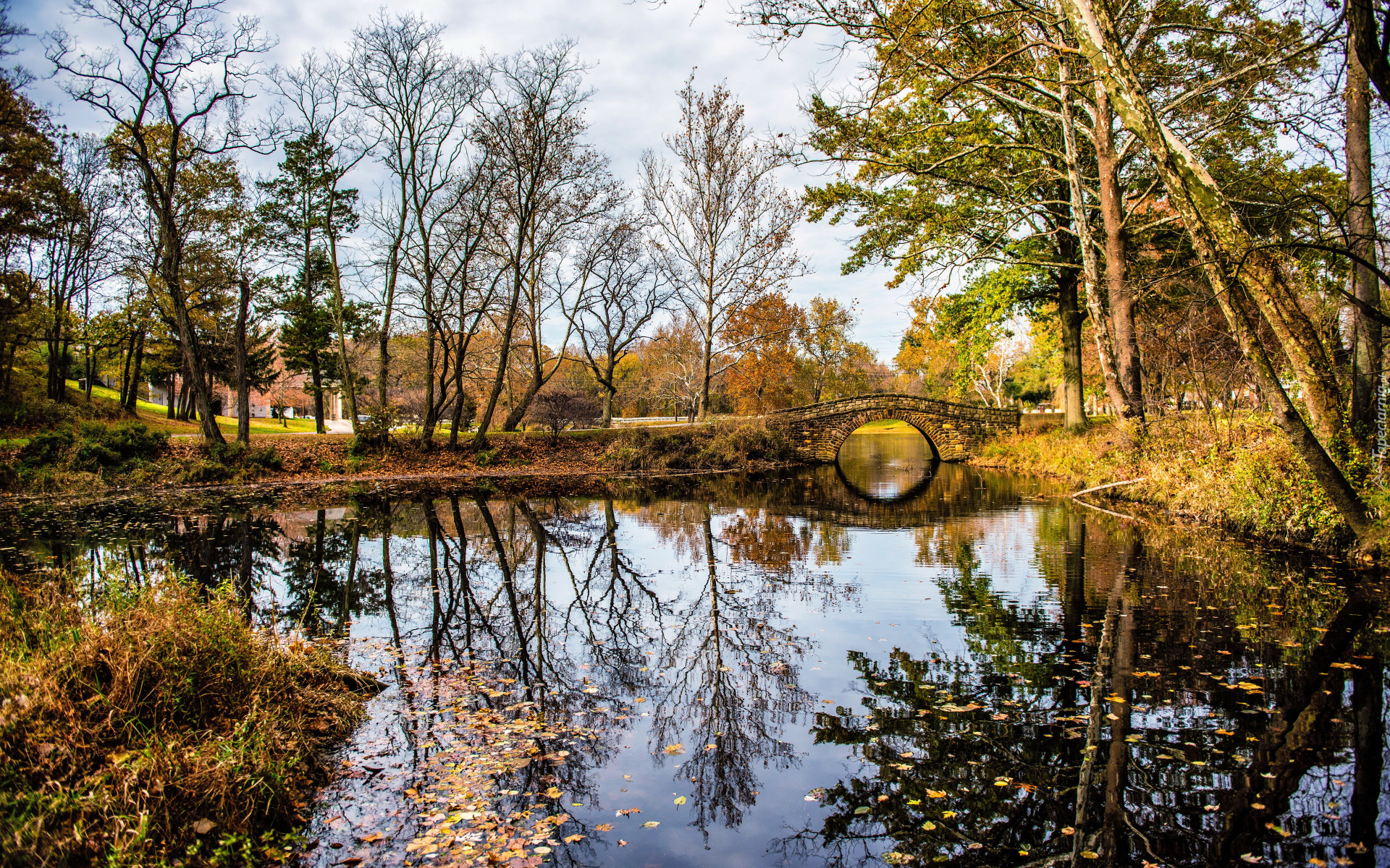 Staw, Most, Drzewa, Liście, Park, Odbicie, Jesień