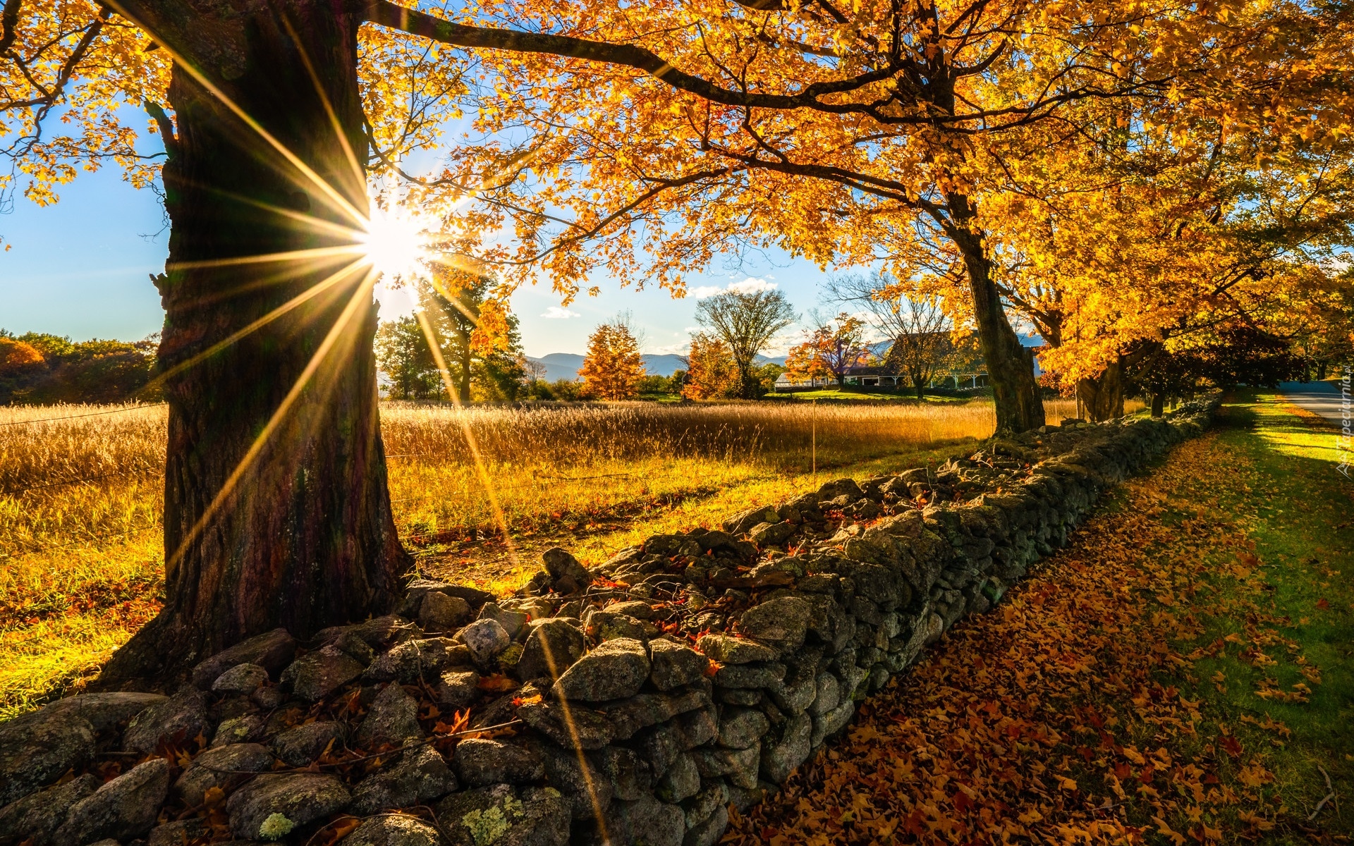 Jesień, Kamienie, Murek, Dom, Drzewa, Pożółkłe, Liście, Promienie słońca