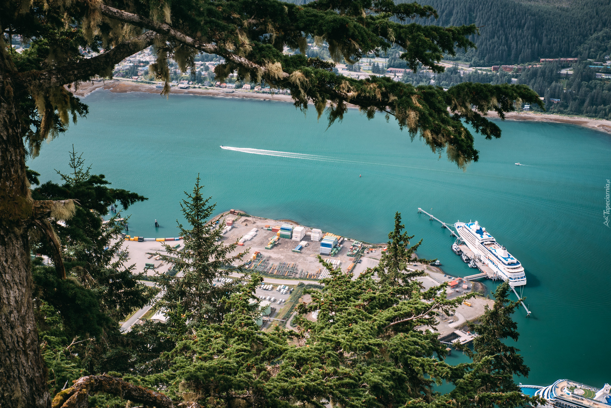 Stany Zjednoczone, Juneau, Alaska, Rzeka, Kanał Gastineau, Port, Statek, Drzewa, Domy