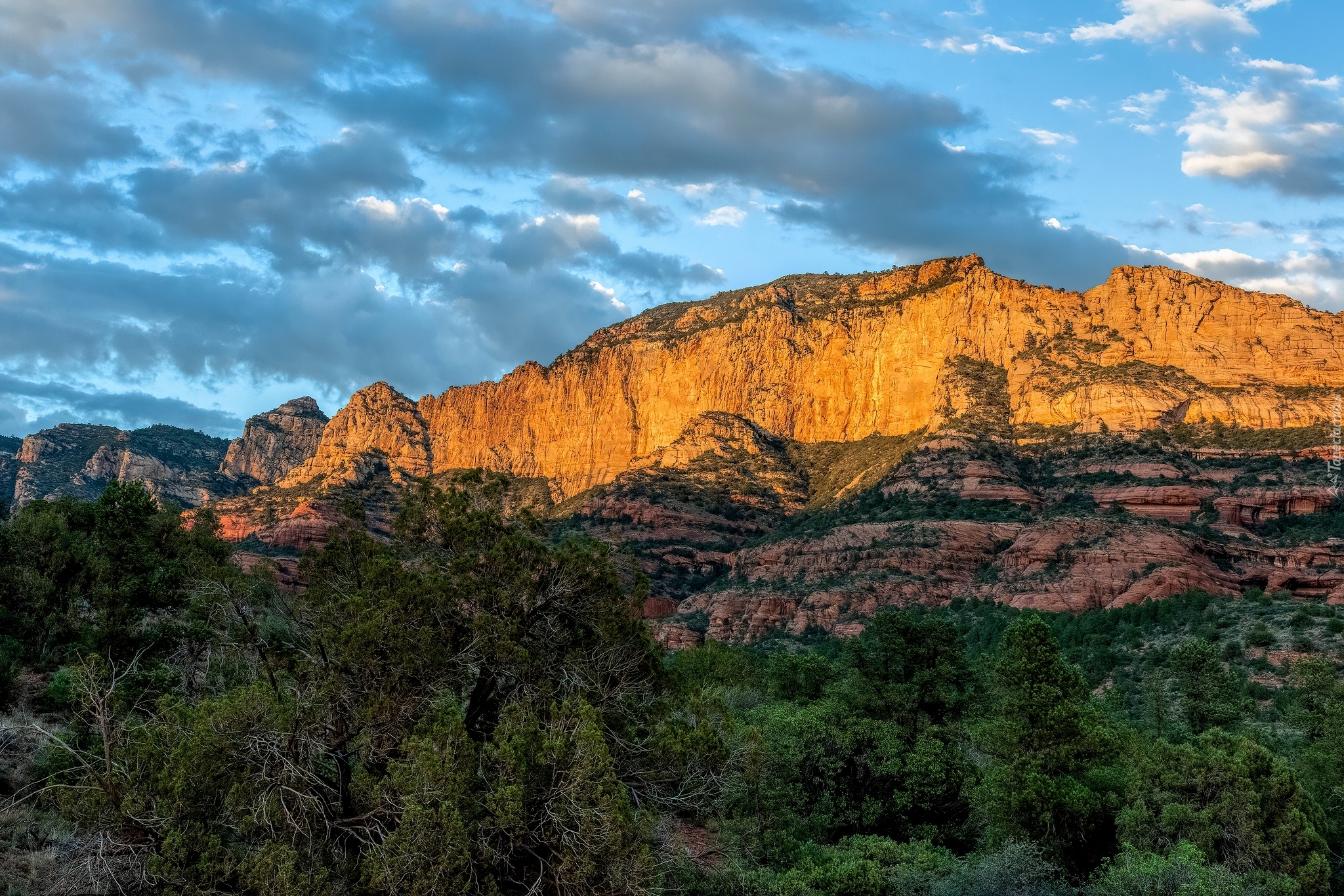 Kanion Oak Creek Canyon, Park Stanowy Slide Rock, Kanion, Drzewa, Góry, Skały, Lasy, Stan Arizona, Stany Zjednoczone