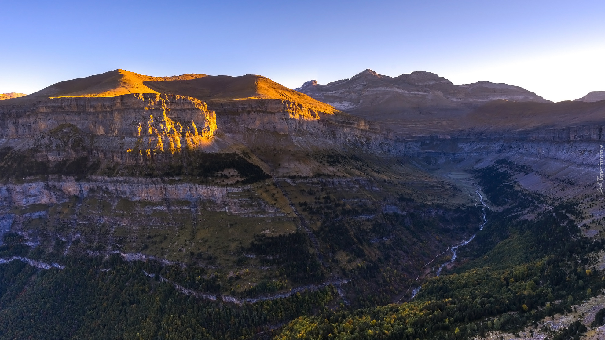 Góry, Pireneje, Drzewa, Kanion, Park Narodowy Ordesa y Monte Perdido, Hiszpania