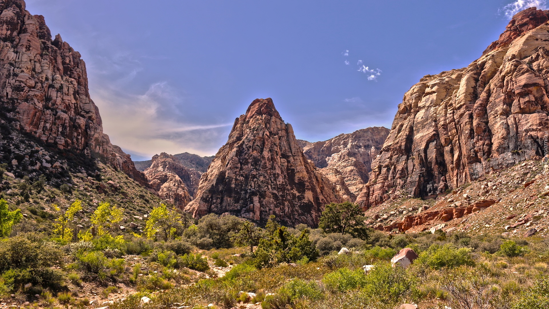 Stany Zjednoczone, Stan Nevada, Red Rock Canyon National Conservation Area, Rezerwat przyrody, Góry, Skały