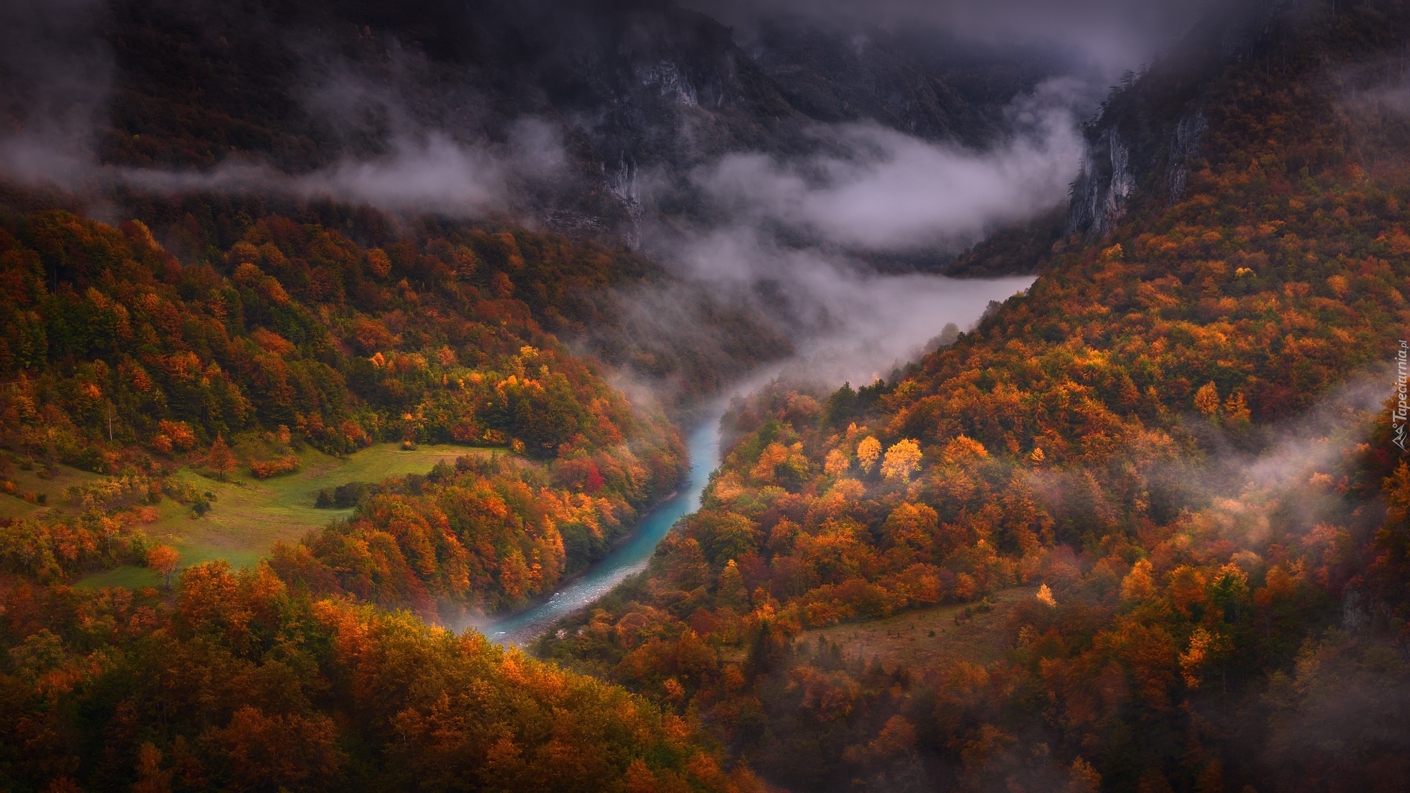 Czarnogóra, Kanion Rzeki Tary, Rzeka Tara, Wąwóz, Jesień, Drzewa, Góry, Mgła