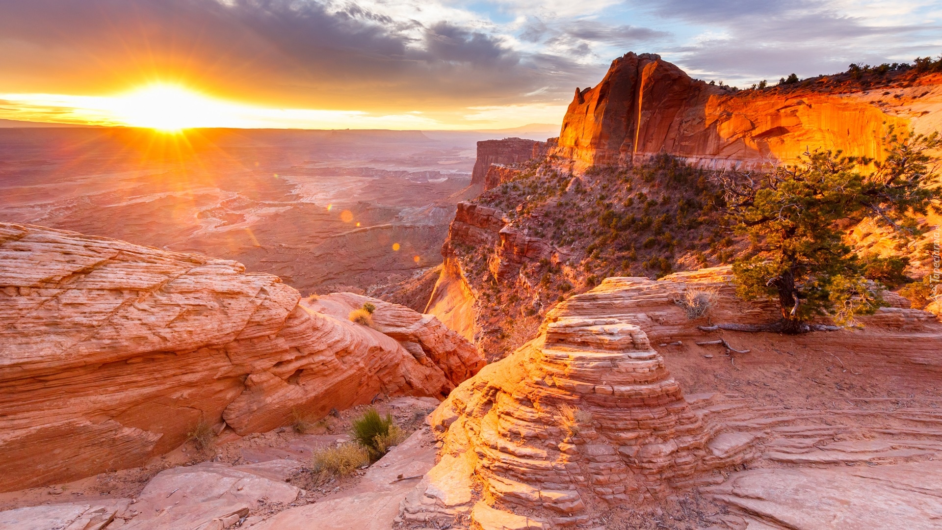 Stany Zjednoczone, Utah, Park Narodowy Canyonlands, Kanion, Roślinność, Wschód słońca, Chmury