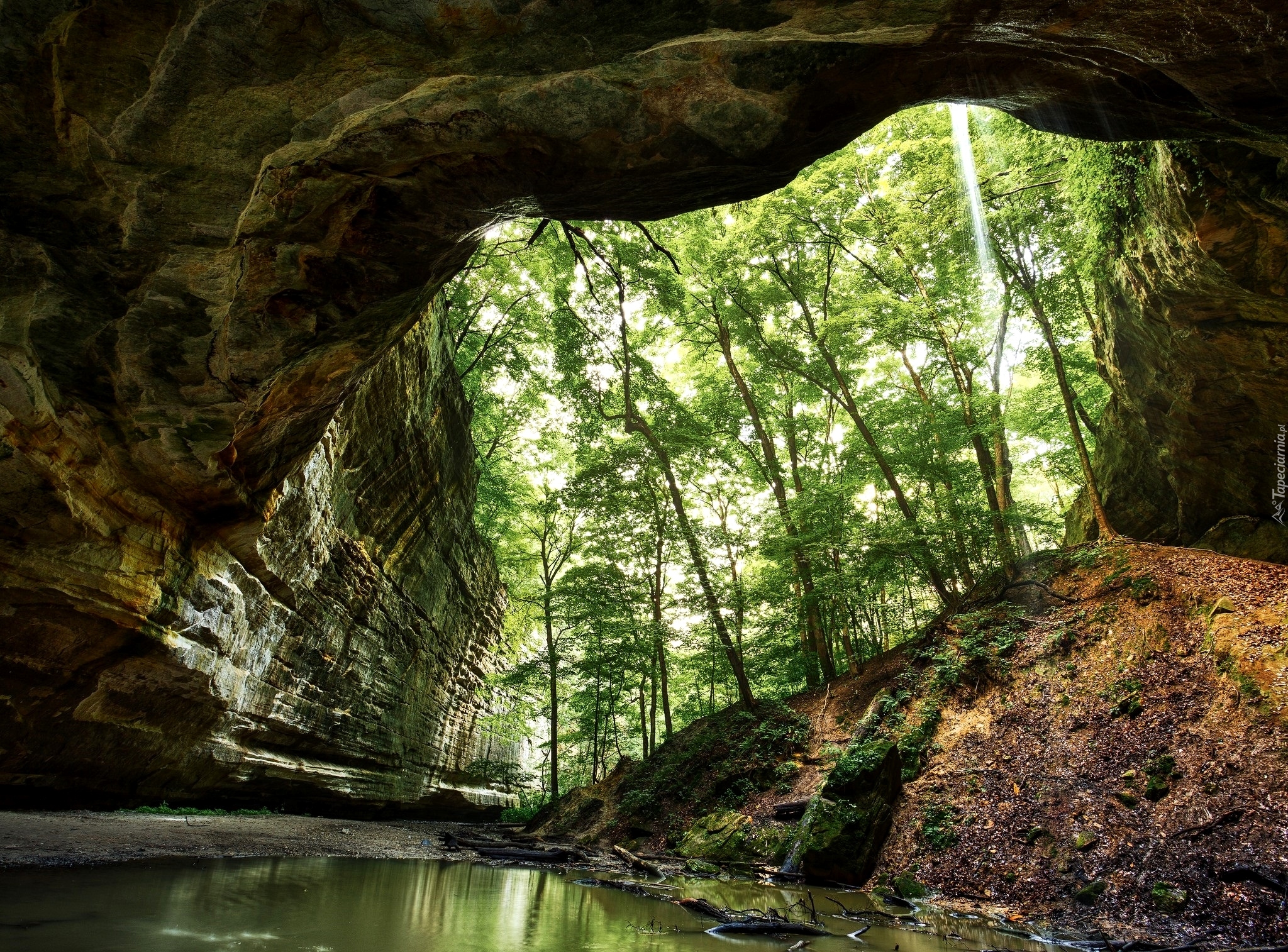 Park stanowy Starved Rock, Kanion, Skały, Drzewa, Stan Illinois, Stany Zjednoczone