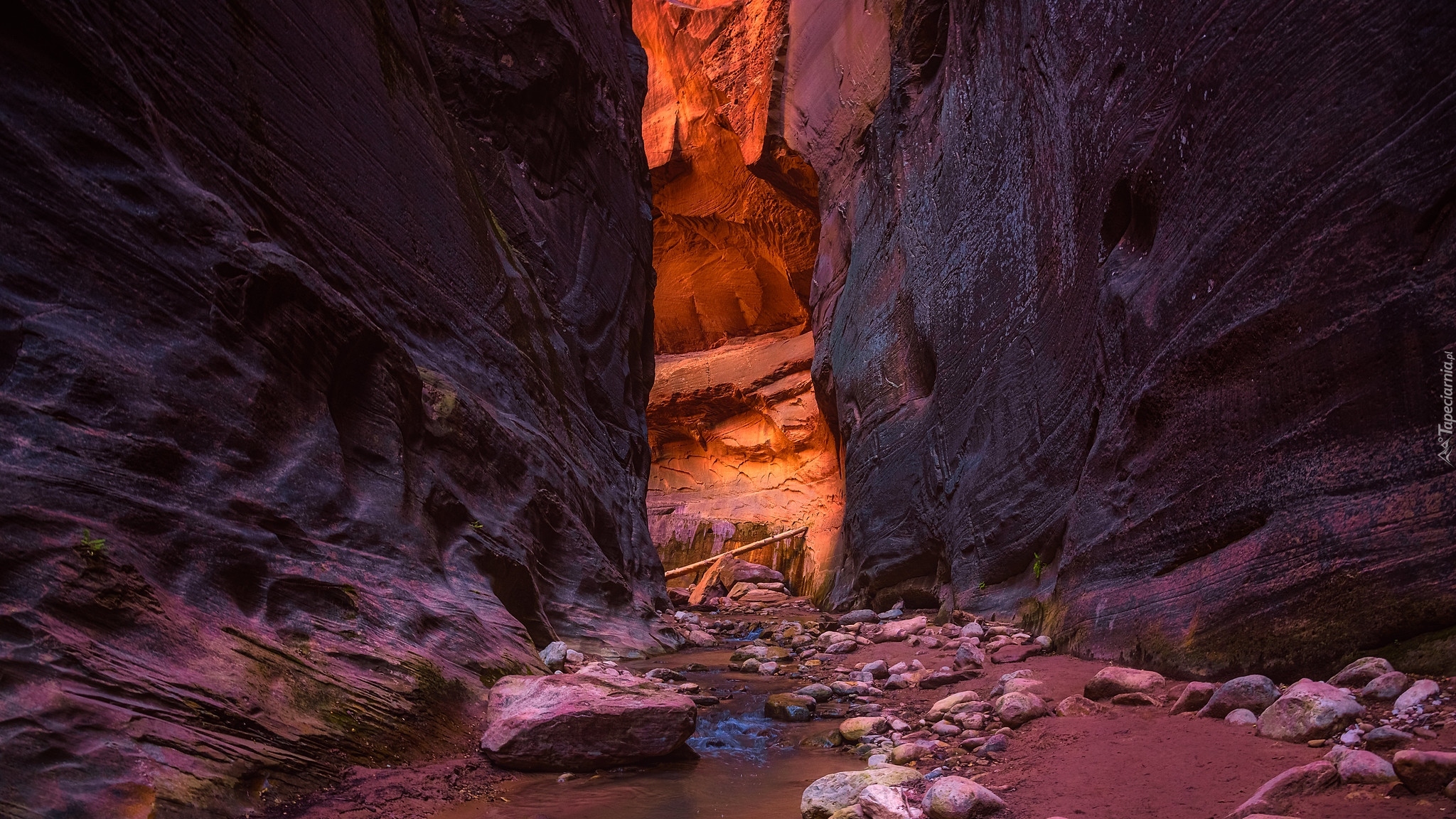 Skały, Kanion, Zion Narrows, Rzeka, Virgin River, Park Narodowy Zion, Stan Utah, Stany Zjednoczone