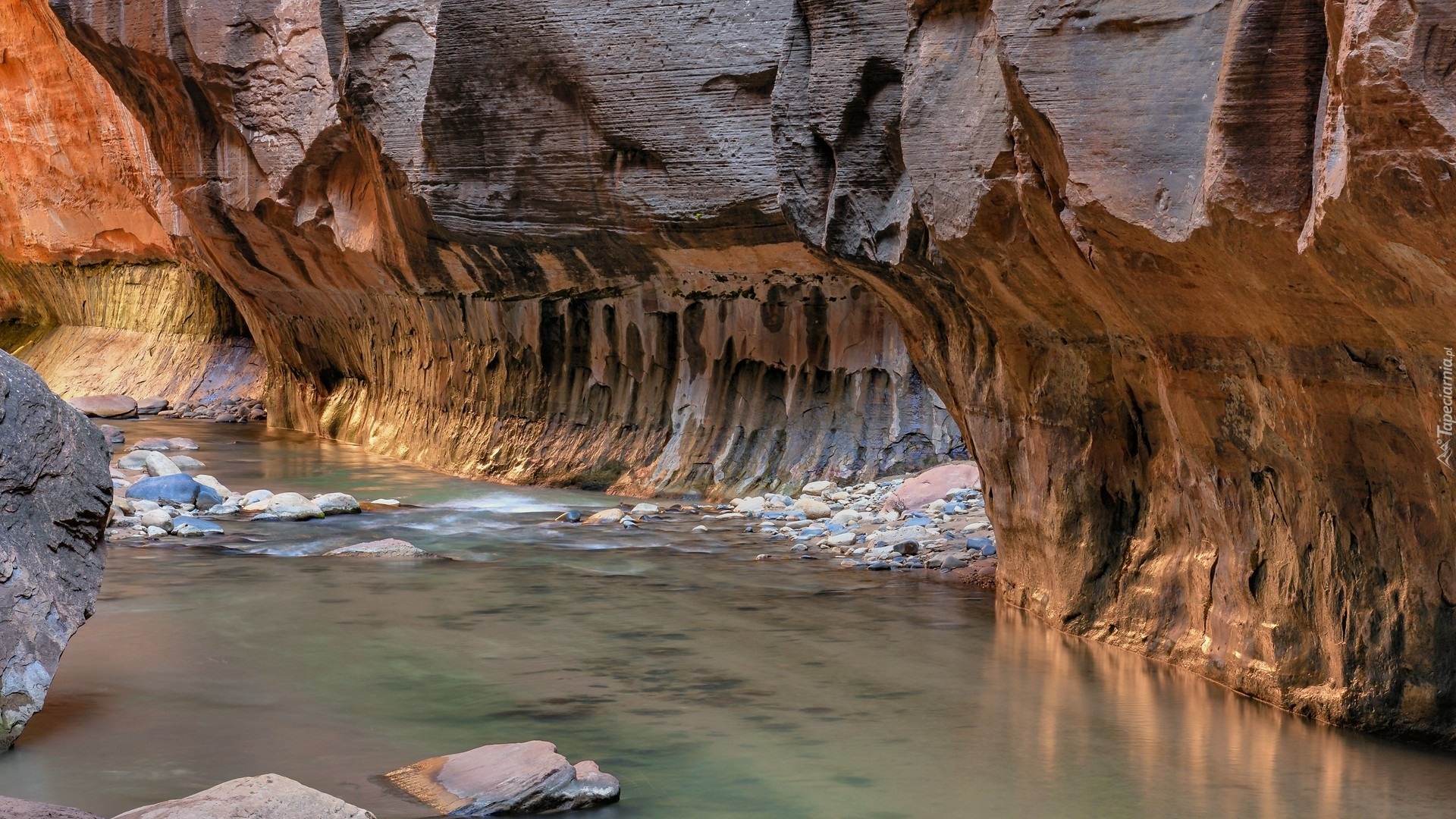 Rzeka, Virgin River, Kanion, Zion Narrows, Park Narodowy Zion, Utah, Stany Zjednoczone