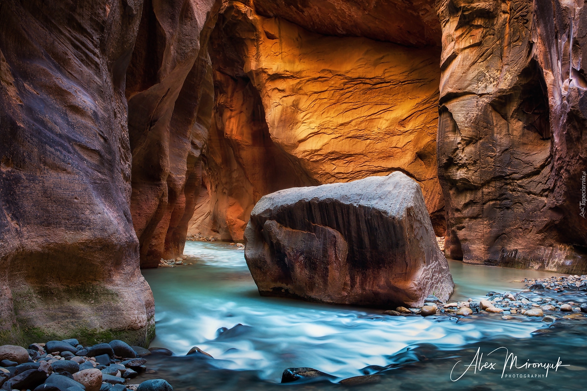 Stany Zjednoczone, Stan Utah, Park Narodowy Zion, Kanion Zion Narrows, Rzeka Virgin River, Kanion, Skały