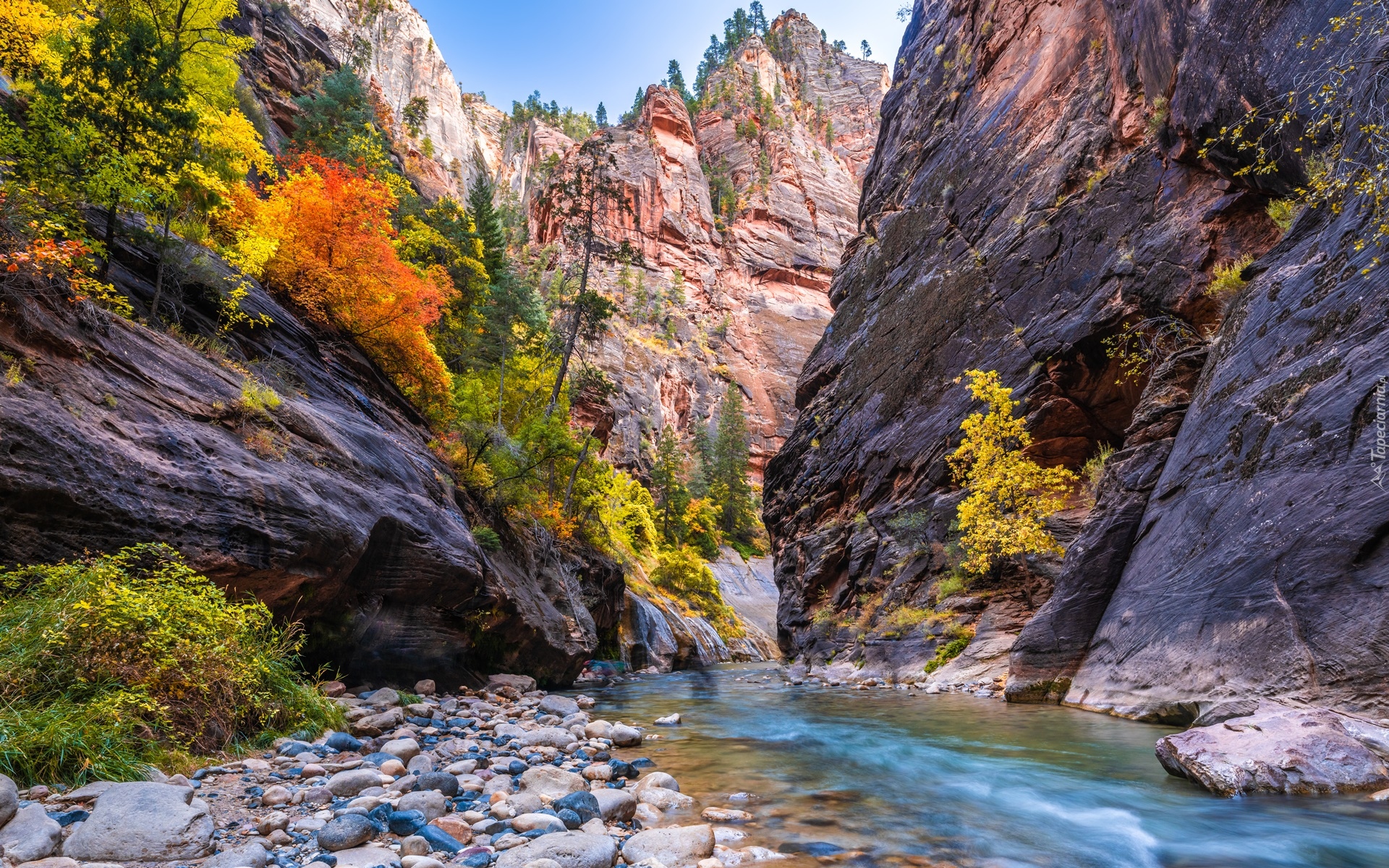 Stany Zjednoczone, Stan Utah, Park Narodowy Zion, Kanion Zion Narrows, Skały, Roślinność, Rzeka Virgin River